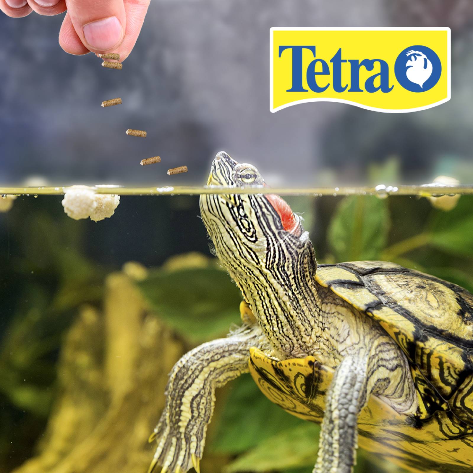 Alimento tortuga Reptomin SelectAFood 44G camaron krill stick 