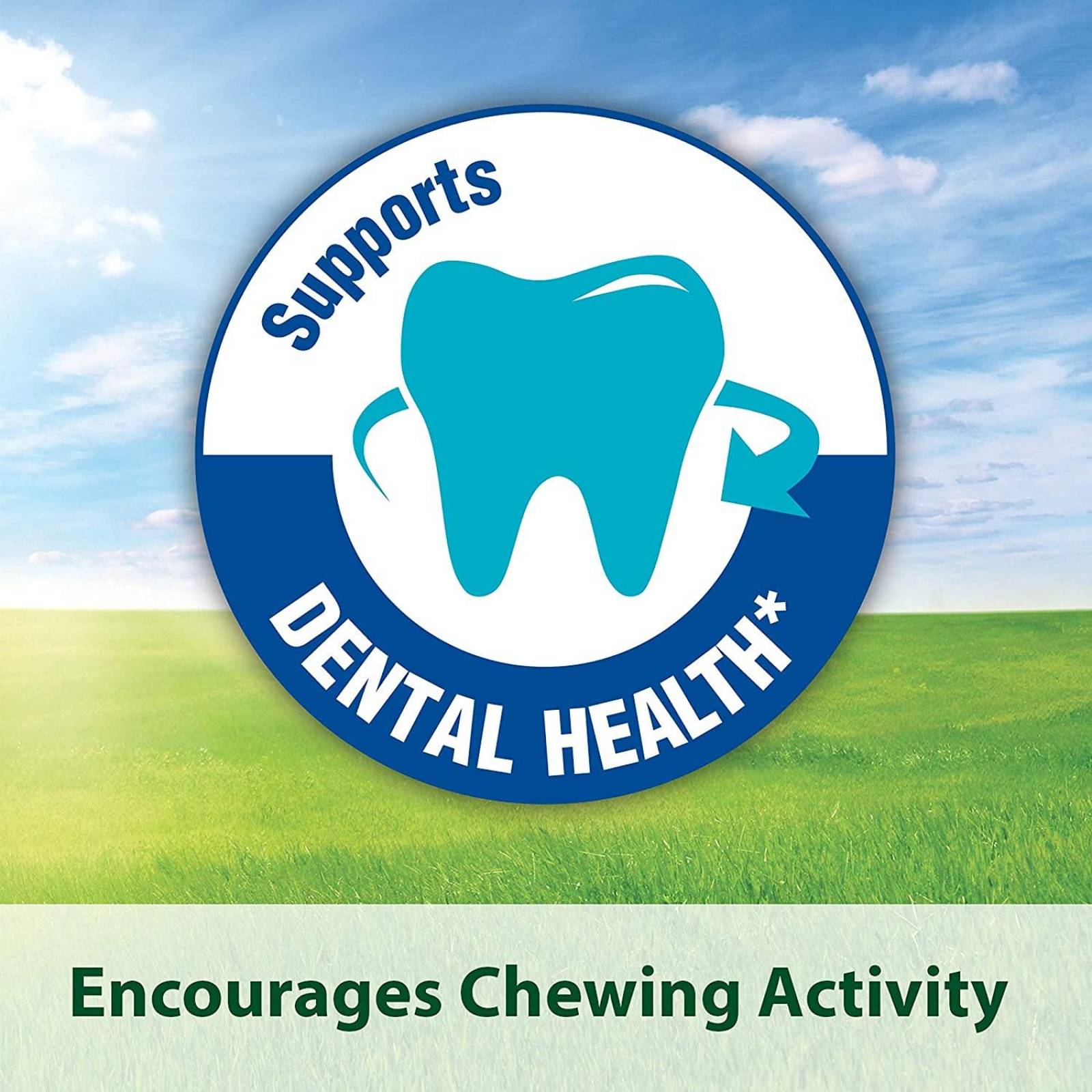 Premio conejo cuyo chinchilla Kaytee Cubos heno Timothy 454g 