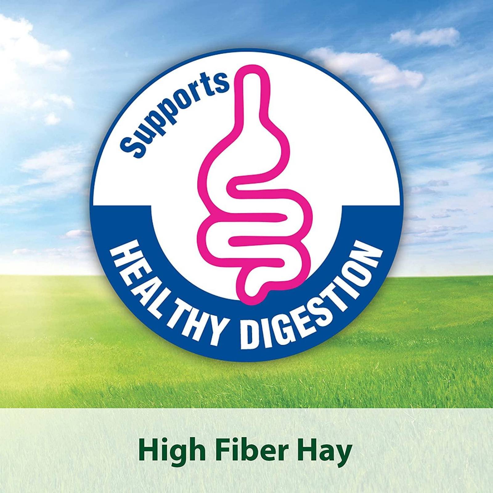 Premio conejo cuyo chinchilla Kaytee Cubos heno Timothy 454g 