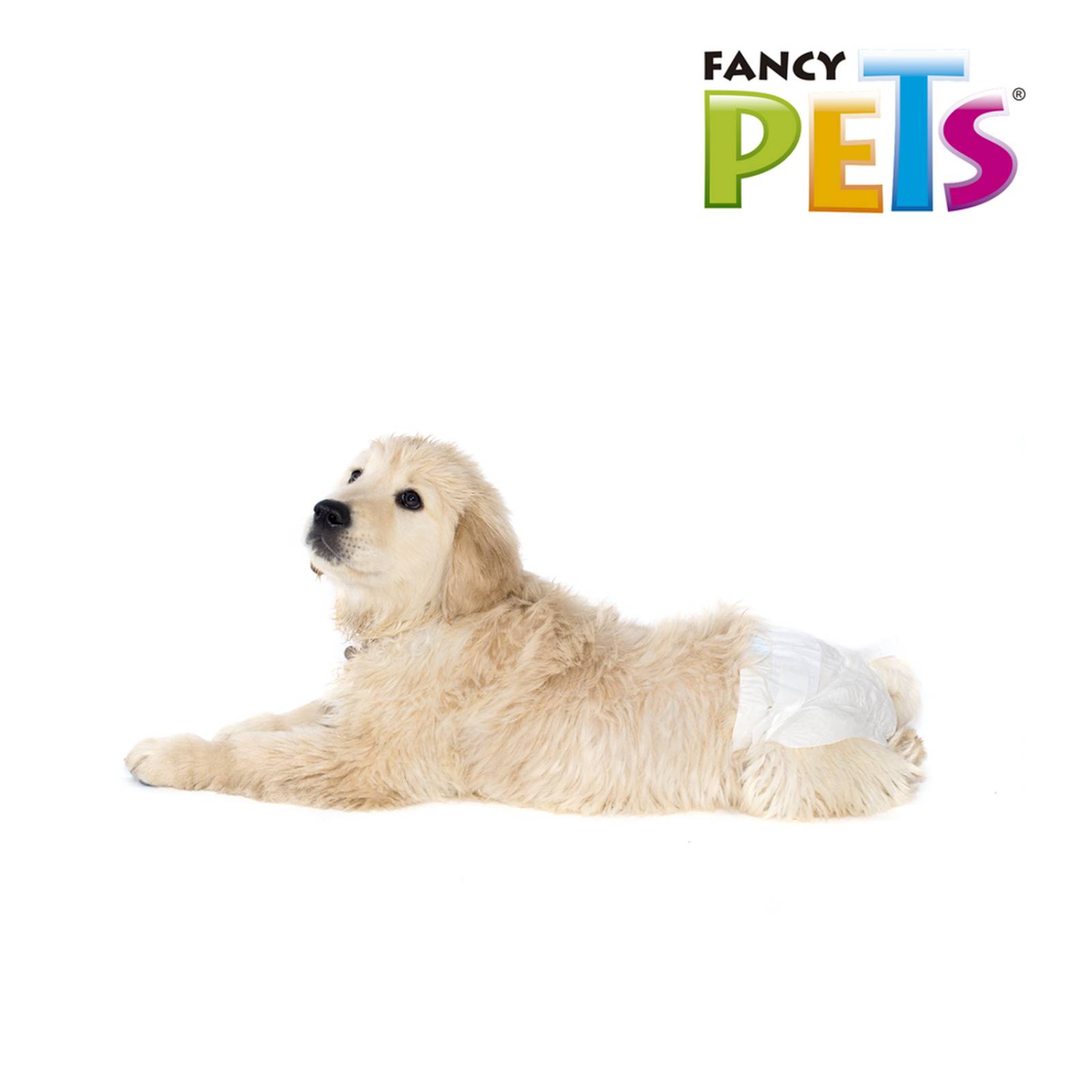 Dry Pet Pañales para perro tamaño chico 12 piezas