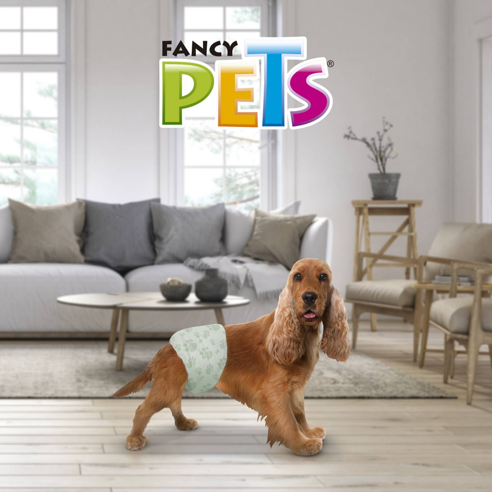 Fancy Pets Pañales para perro macho tamaño mediano 12 piezas 