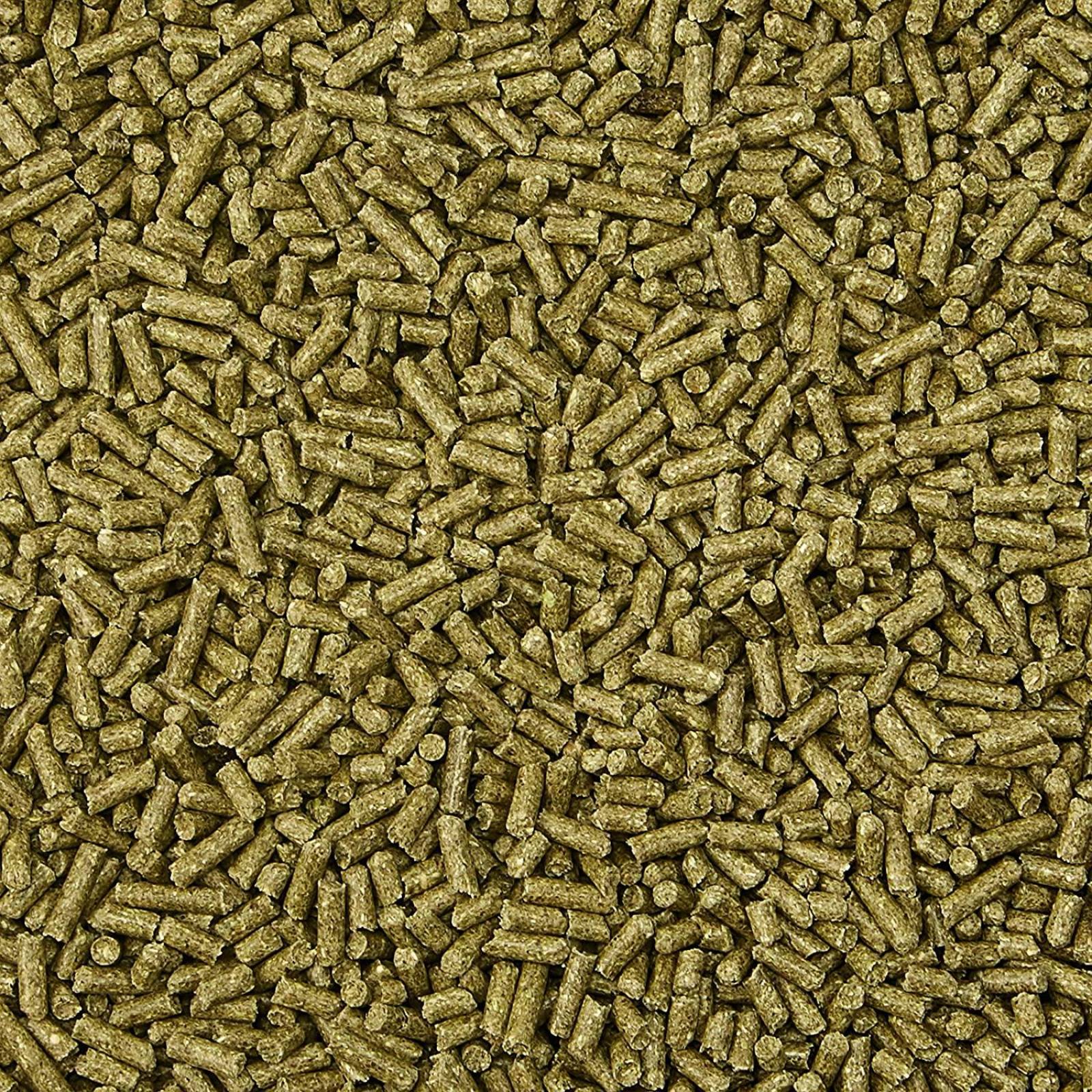 Alimento Premium Kaytee Timothy Complete Conejo 2.04 kg 