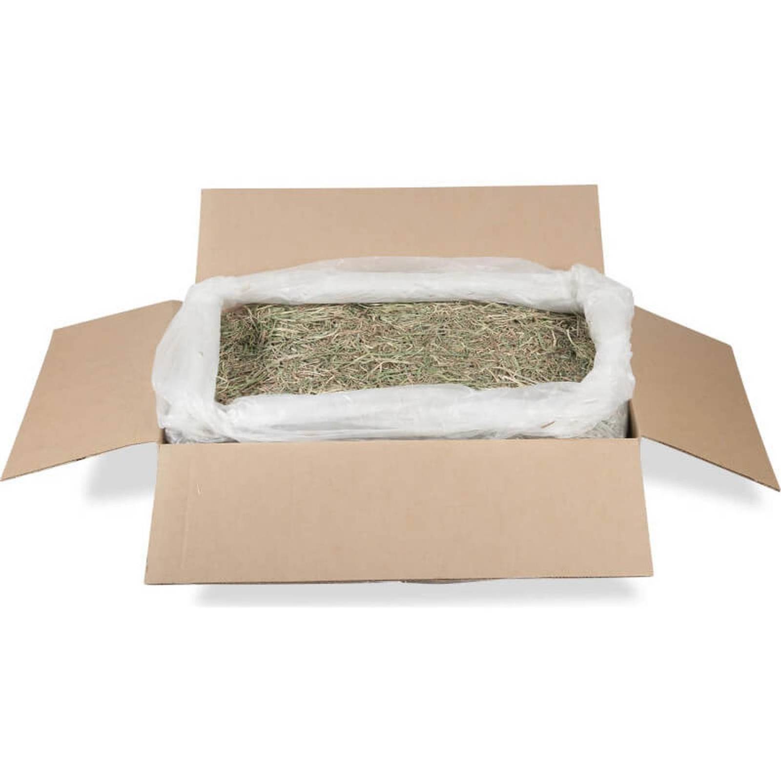 Heno Timothy Hay Gold American Pet caja 11.3 kg cuyo conejo