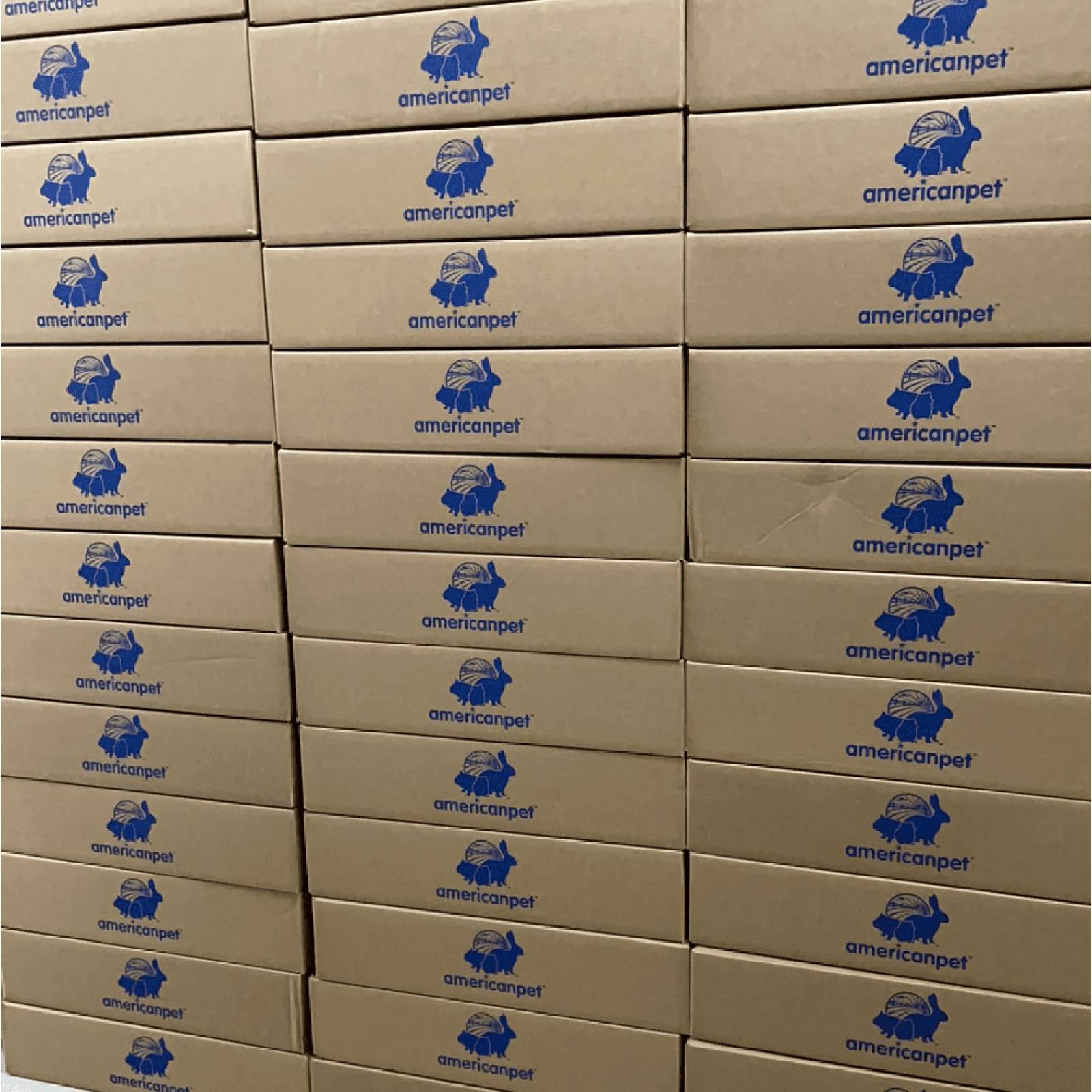 Heno Timothy Hay Gold American Pet caja 2.27 KG cuyo, conejo 