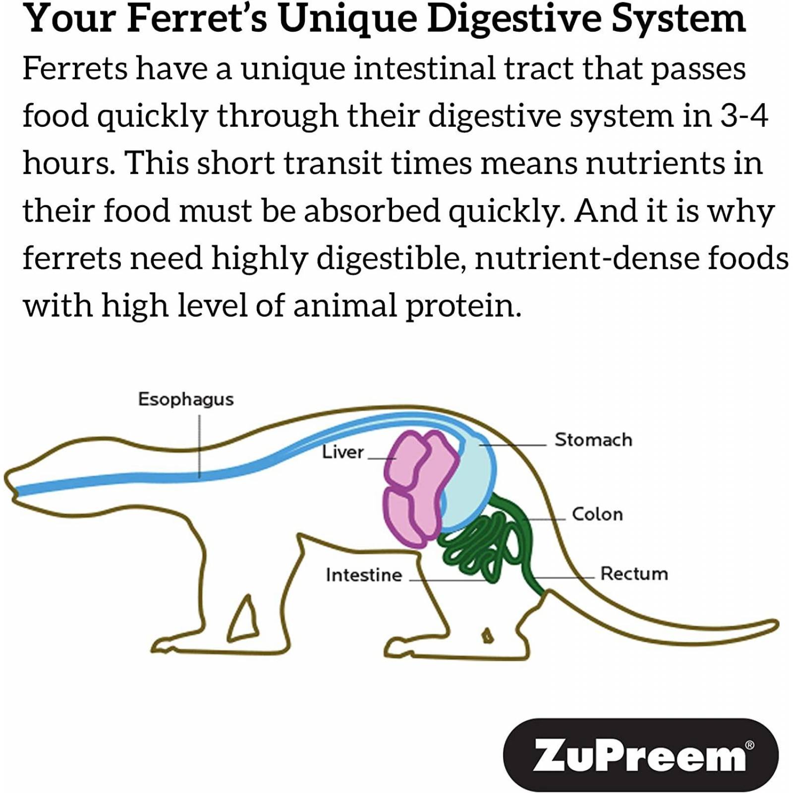 Alimento Zupreem Premium Hurón 1.81 kg 