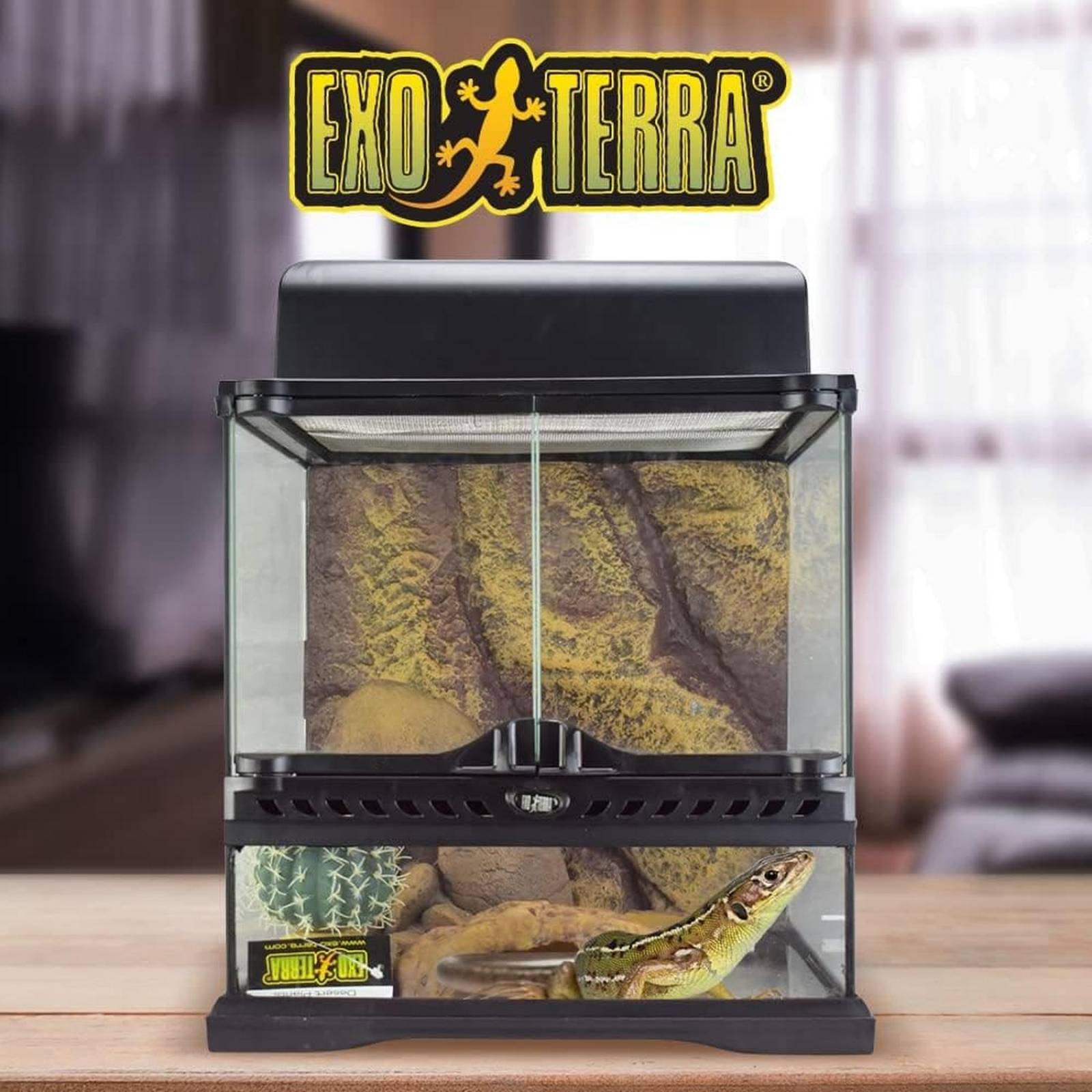 Terrario vidrio Exo-Terra desierto equipado gecko 30x30x30