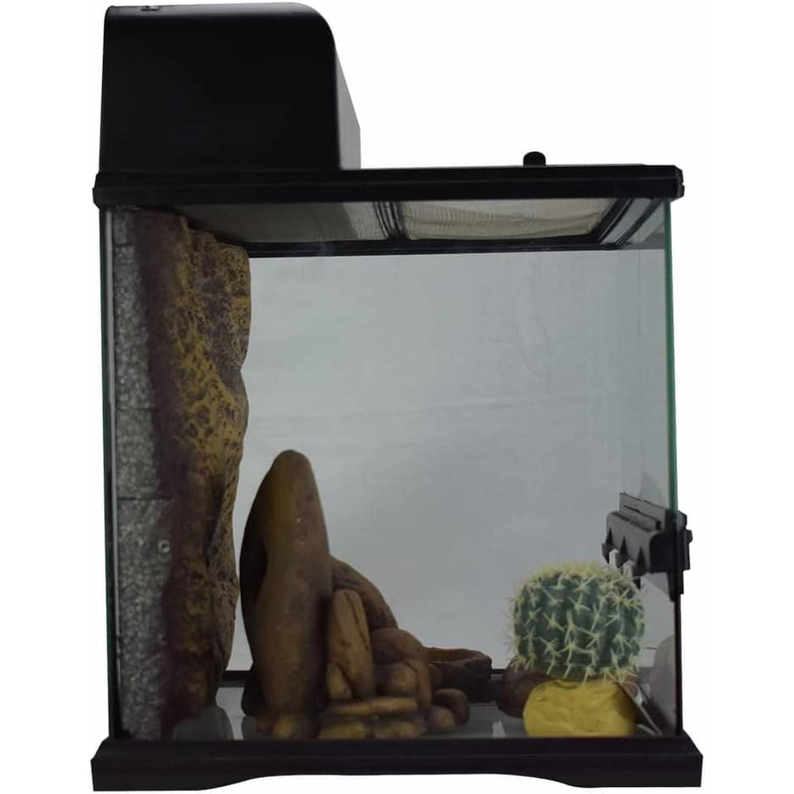 Terrario vidrio Exo-Terra desierto equipado gecko 30x30x30 