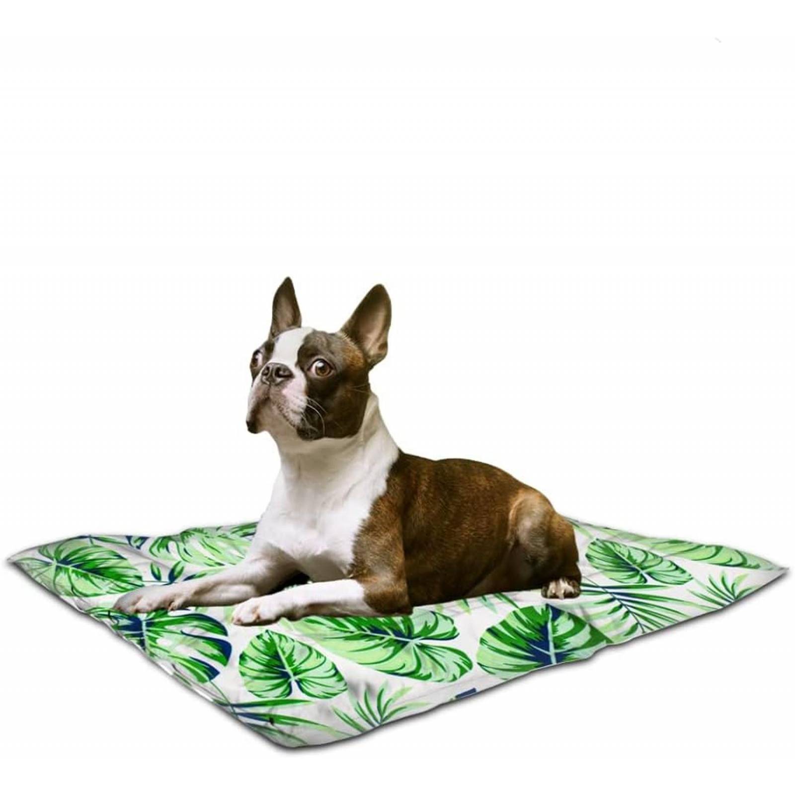 Cama refrescante para perros clima caliente tamaño grande