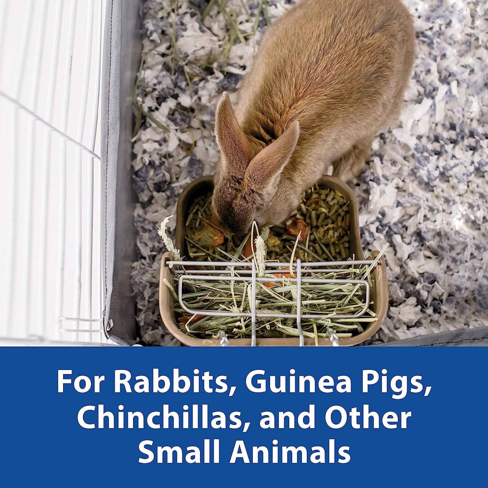 Kaytee alimento y dispensador de heno colgante conejo 2 en 1 