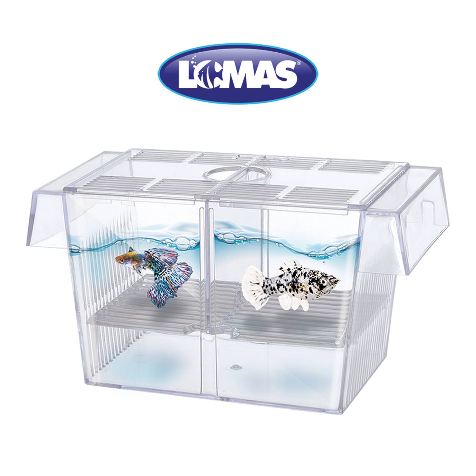 LOMAS maternidad flotante interna guppy molly peces 1.4 L 