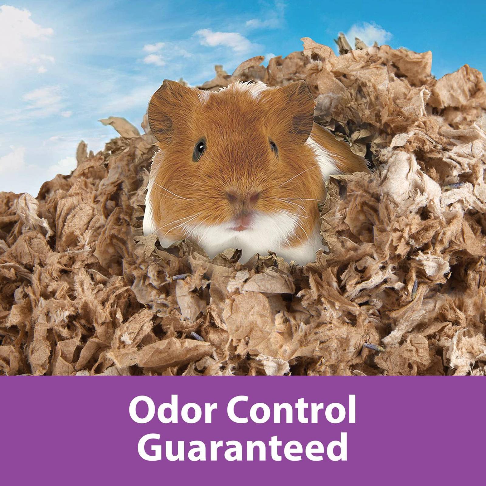 Kaytee Sustrato cama cuyo, conejo Clean & Cozy Lavanda 24.6L 