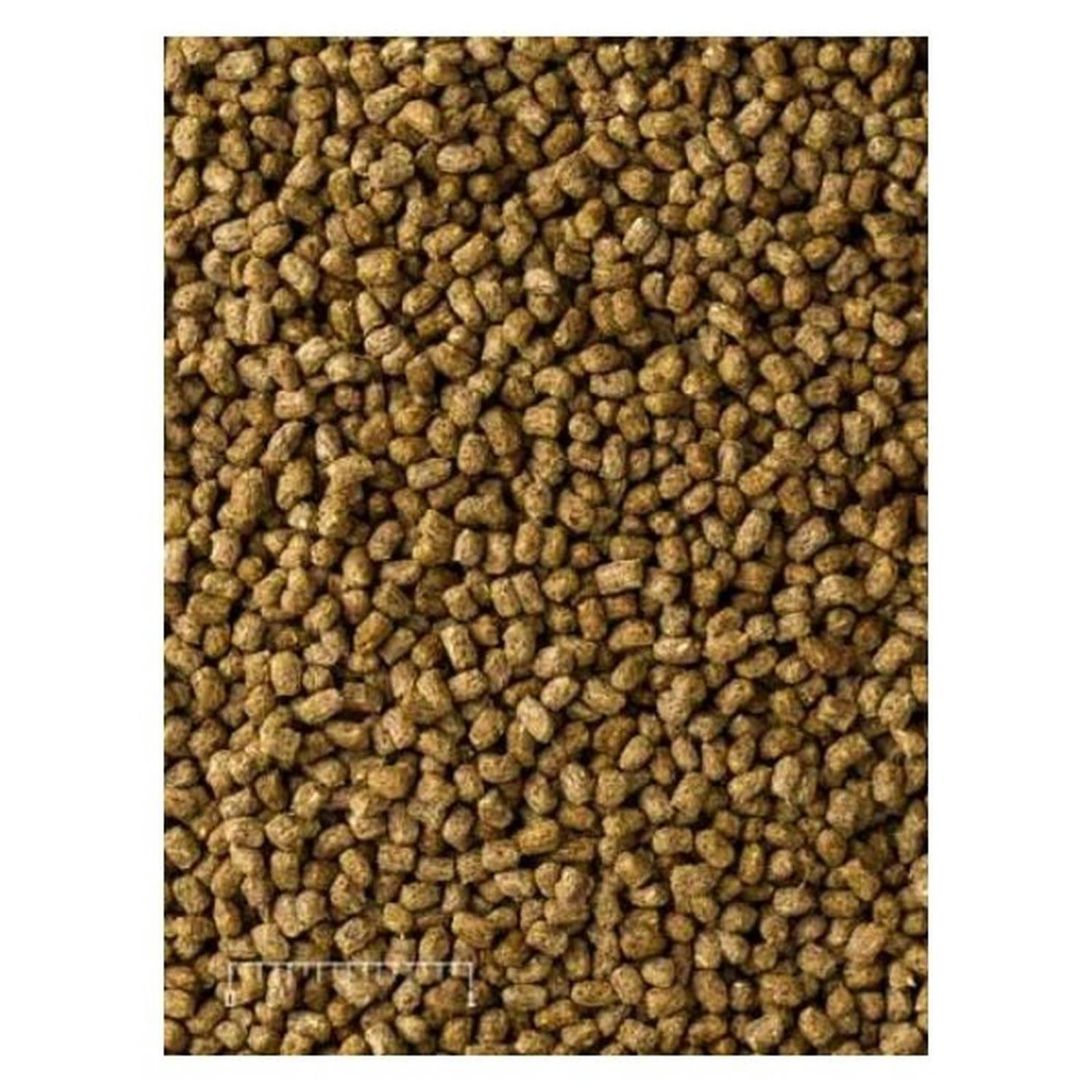 Mazuri Alimento pequeña tortuga omnivora, uromastyx 450g 