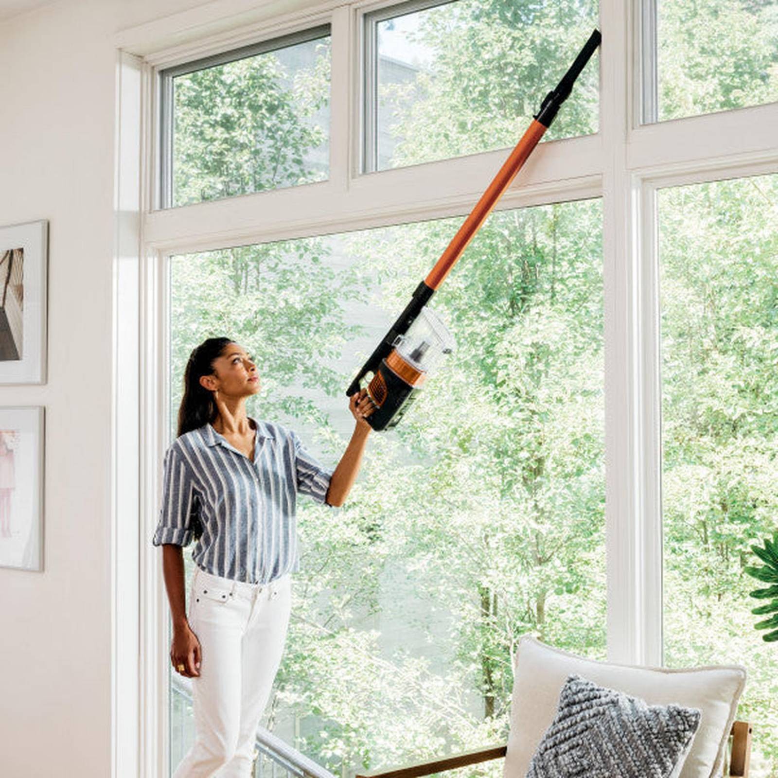 Aspiradora inalámbrica Shark Pet Pro IZ142 