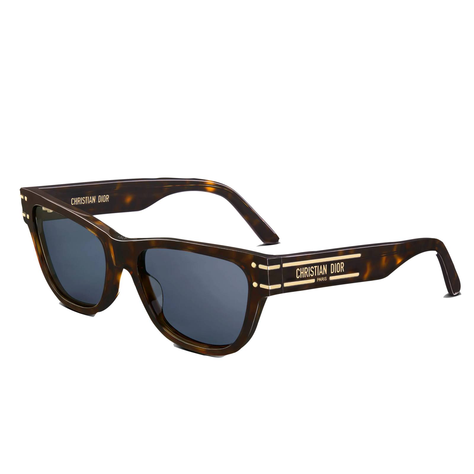 Christian Dior Signature S6U 26A1 Square Shape Tortoise Blue