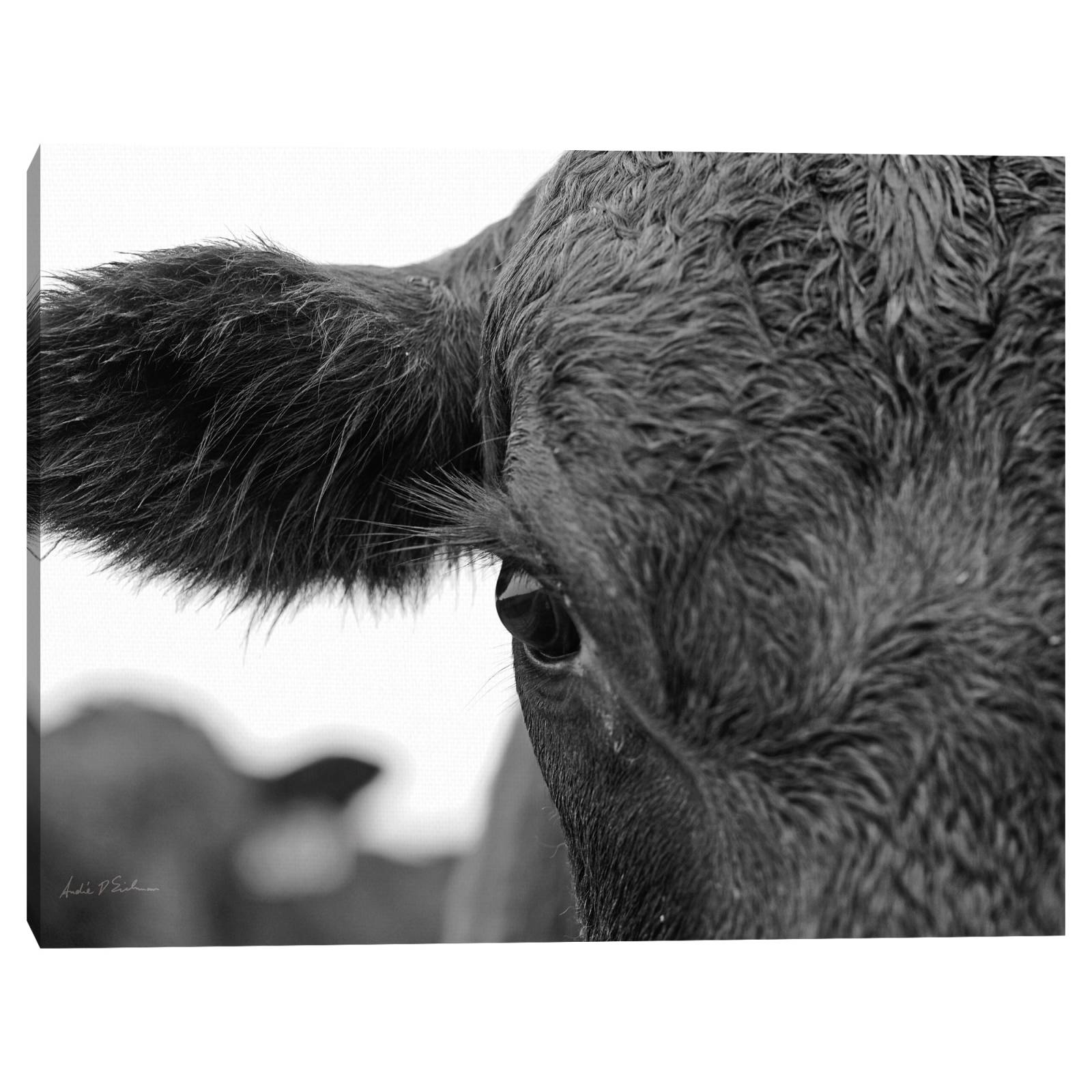 Cuadros Decorativos - En el rancho V- Andre Eichman