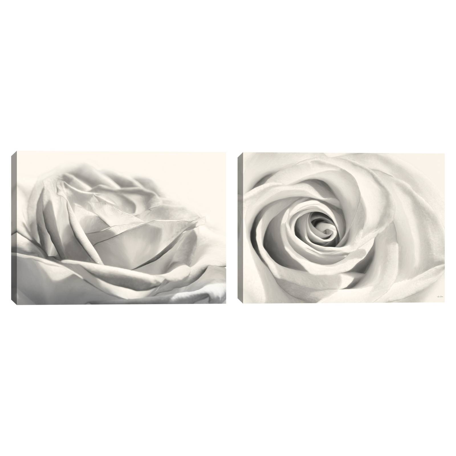 Cuadro Decorativo - Rosa III