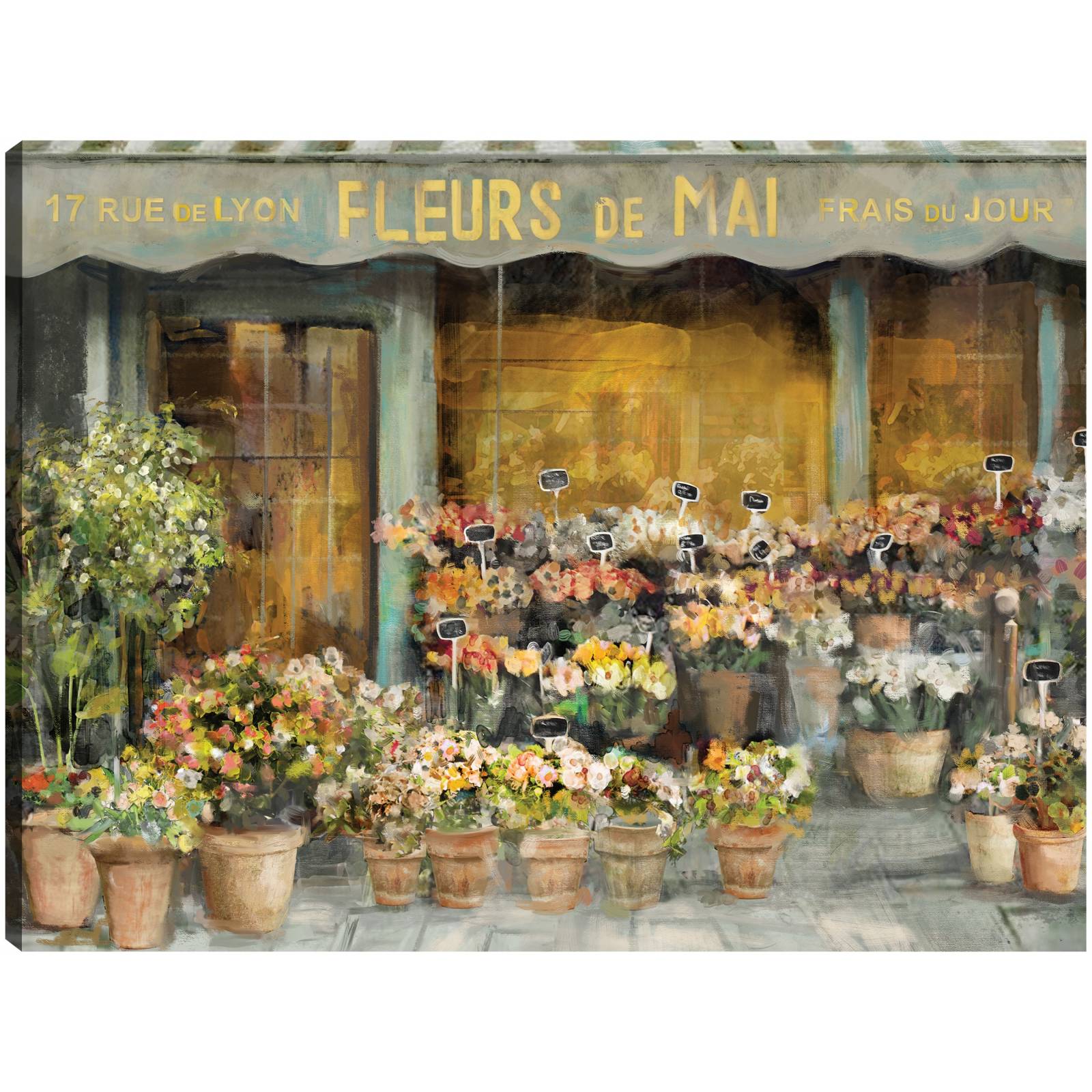 Cuadro Decorativo - flores de mayo 46 cm x 61 cm