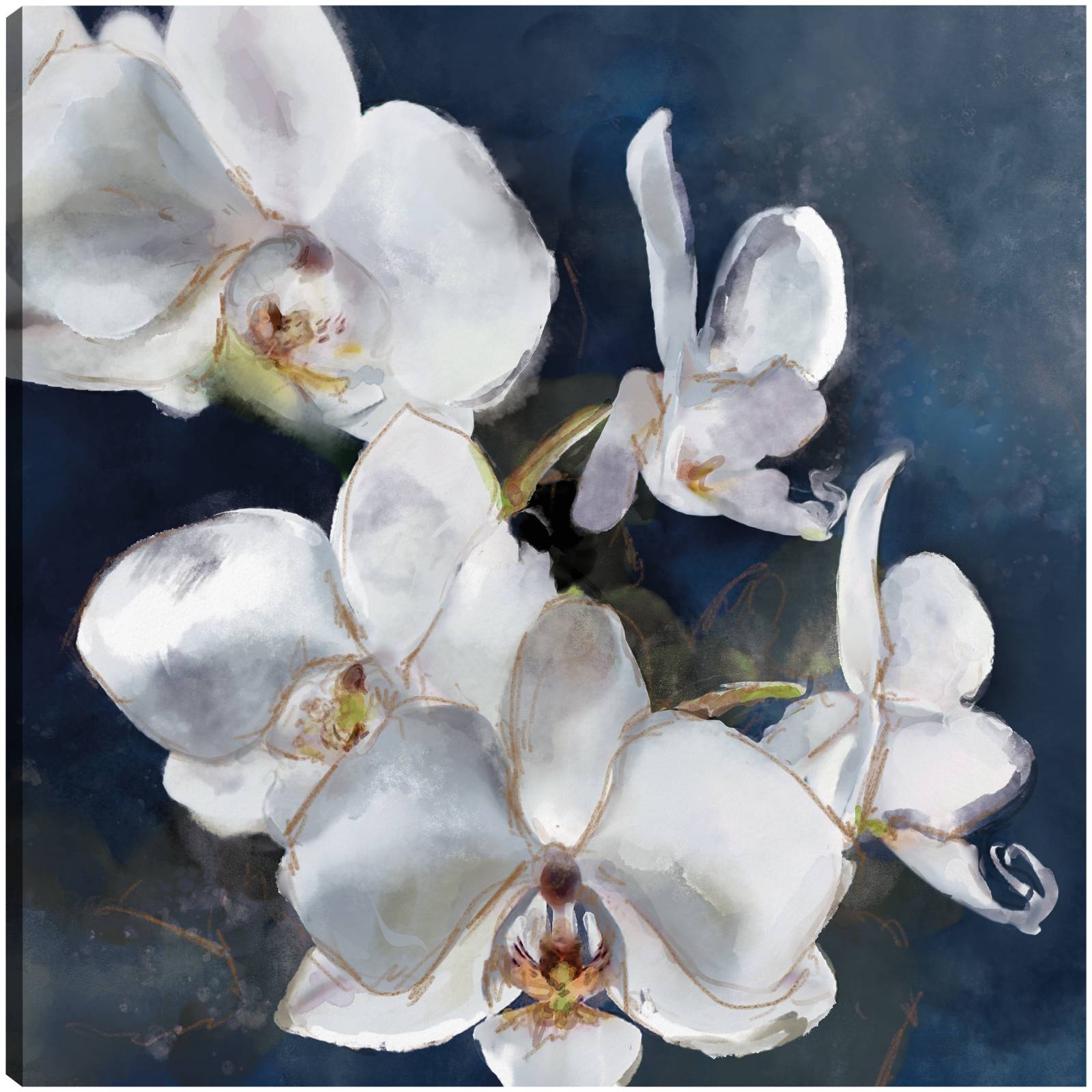 Cuadro Decorativo - Orquídea en la Marina 51 cm x 51 cm