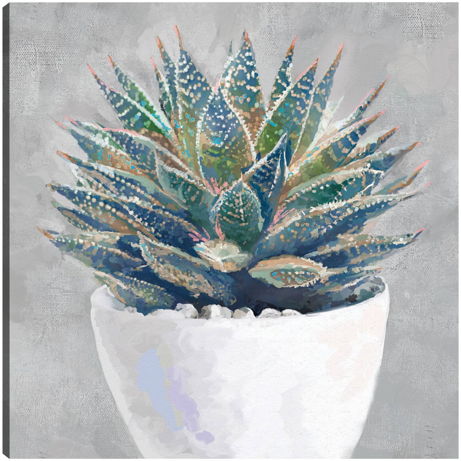 Cuadro Decorativo - Suculenta en maceta I 71 cm x 71 cm