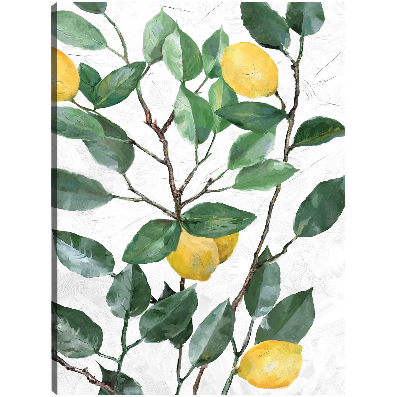 Cuadro Decorativo - Limonero 36 cm x 28 cm