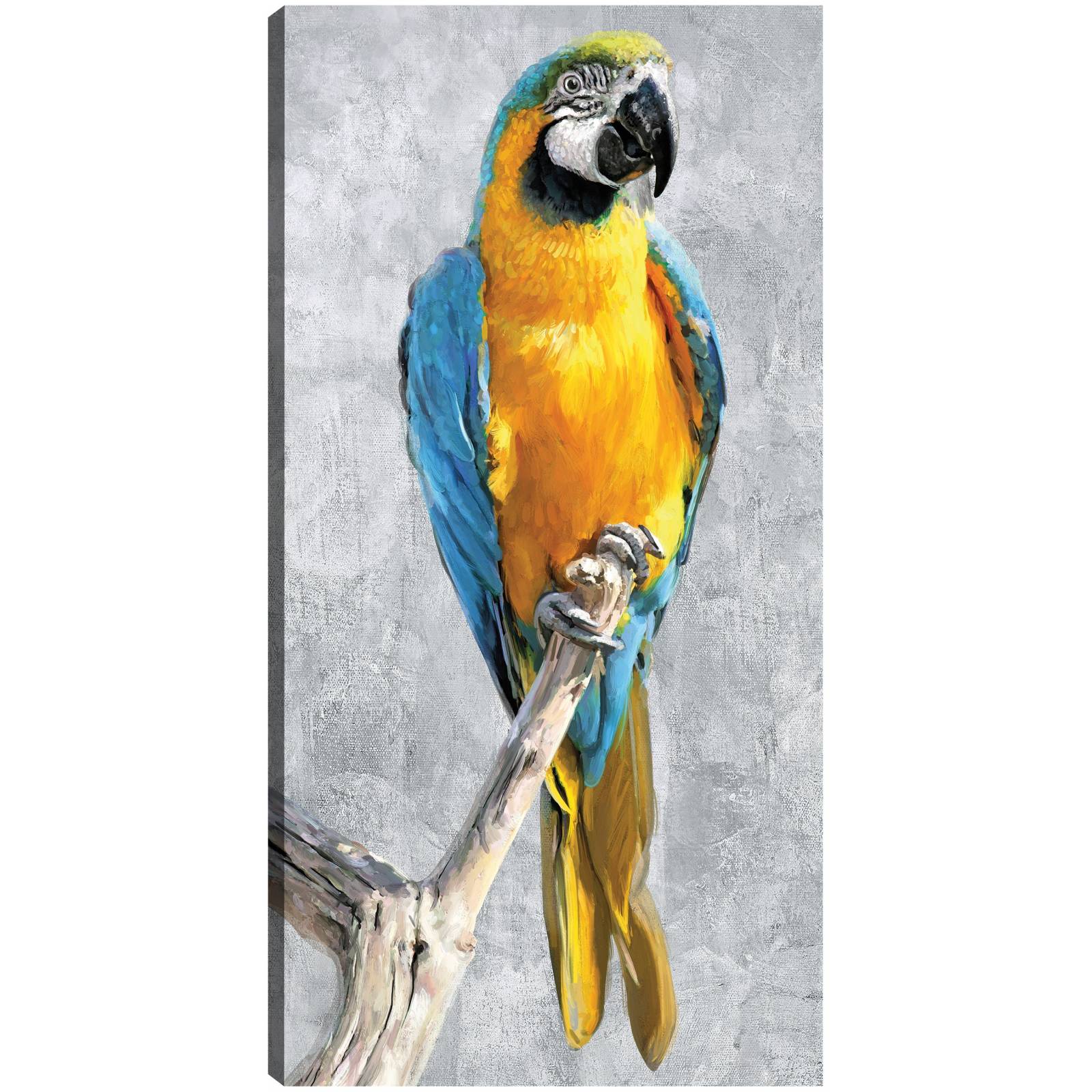 Cuadro Decorativo - Loros Tropicales I 89 cm x 46 cm
