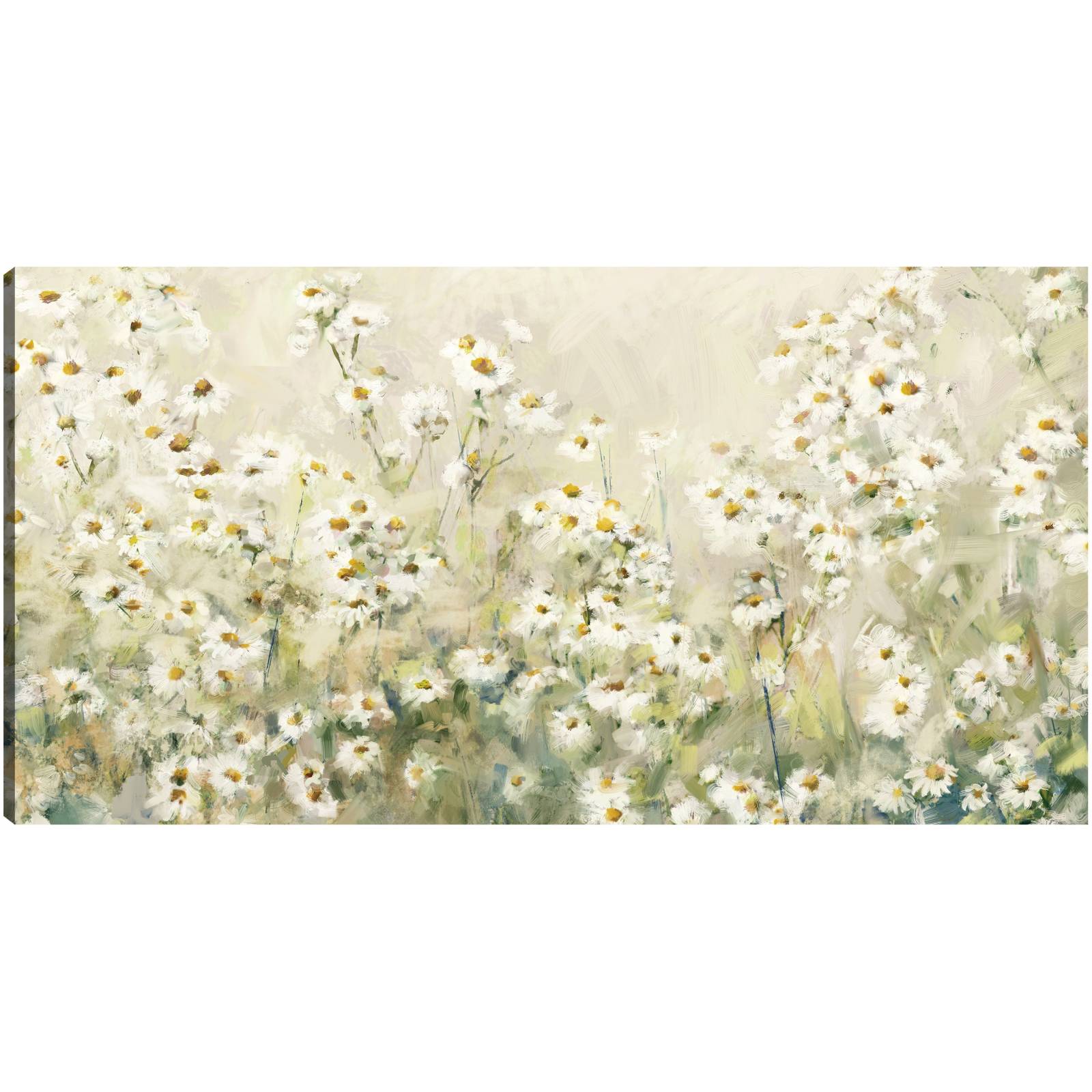 Cuadro Decorativo - margaritas diurnas 89 cm x 46 cm