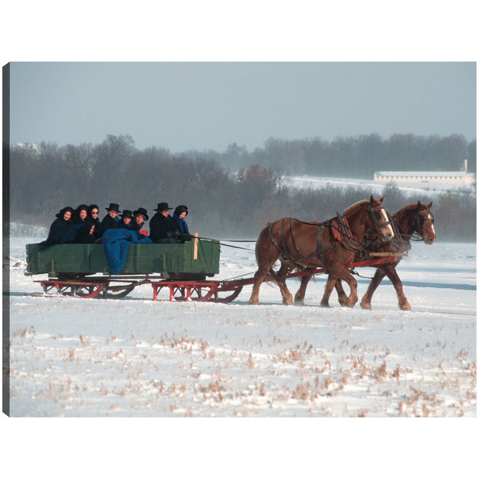 Cuadro Decorativo   Vagon de la familia Amish 117 cm x 89 cm