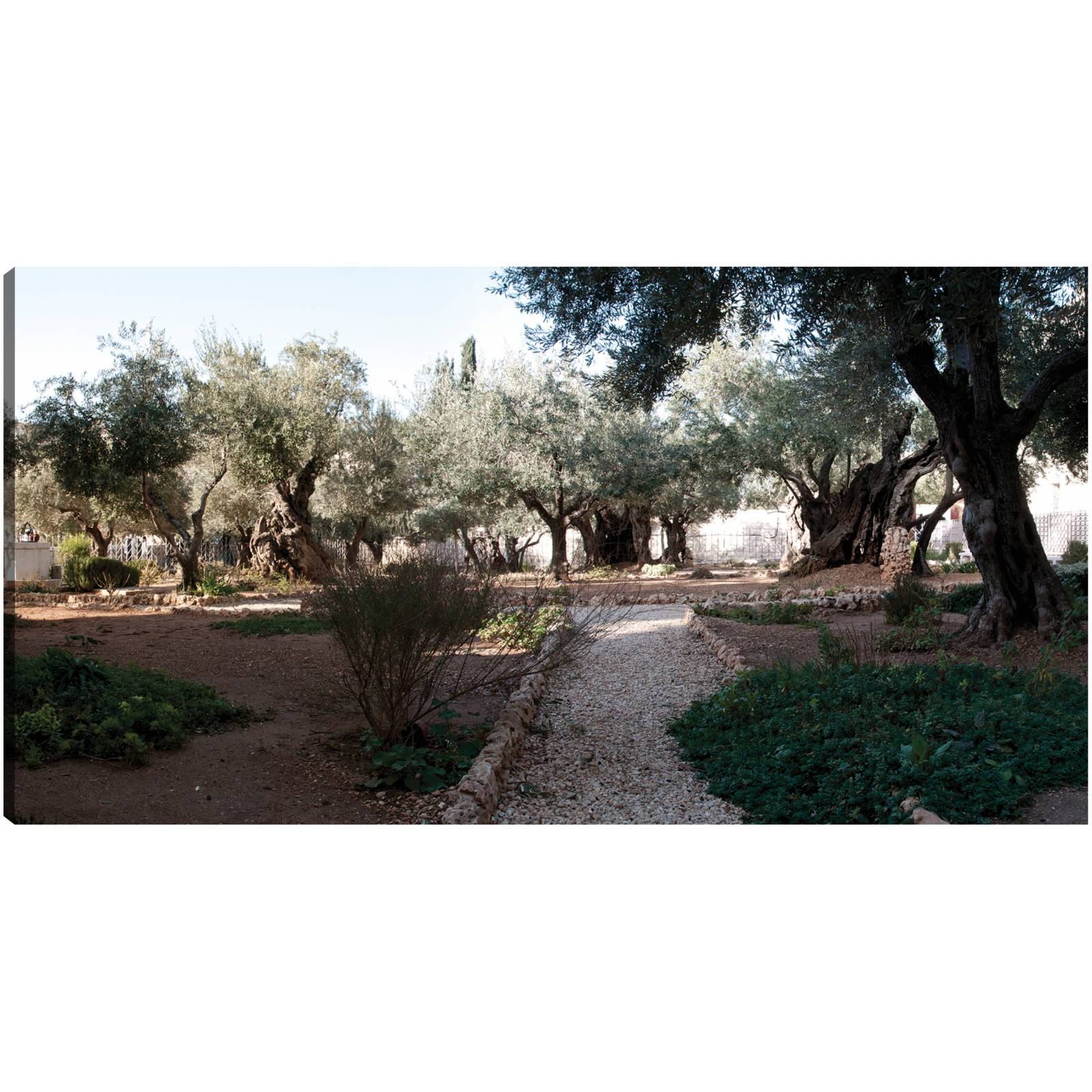 Cuadro Decorativo   Jardin de la antigua Jerusalen 142 cm x 74 cm