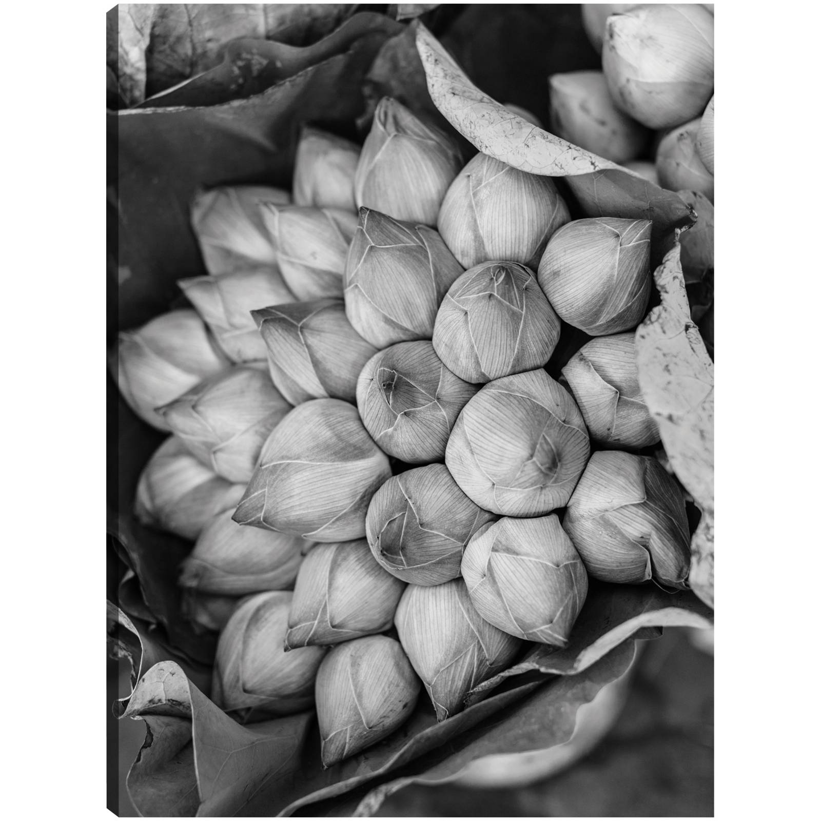Cuadro Decorativo   Flores de loto de Camboya 81 cm x 109 cm