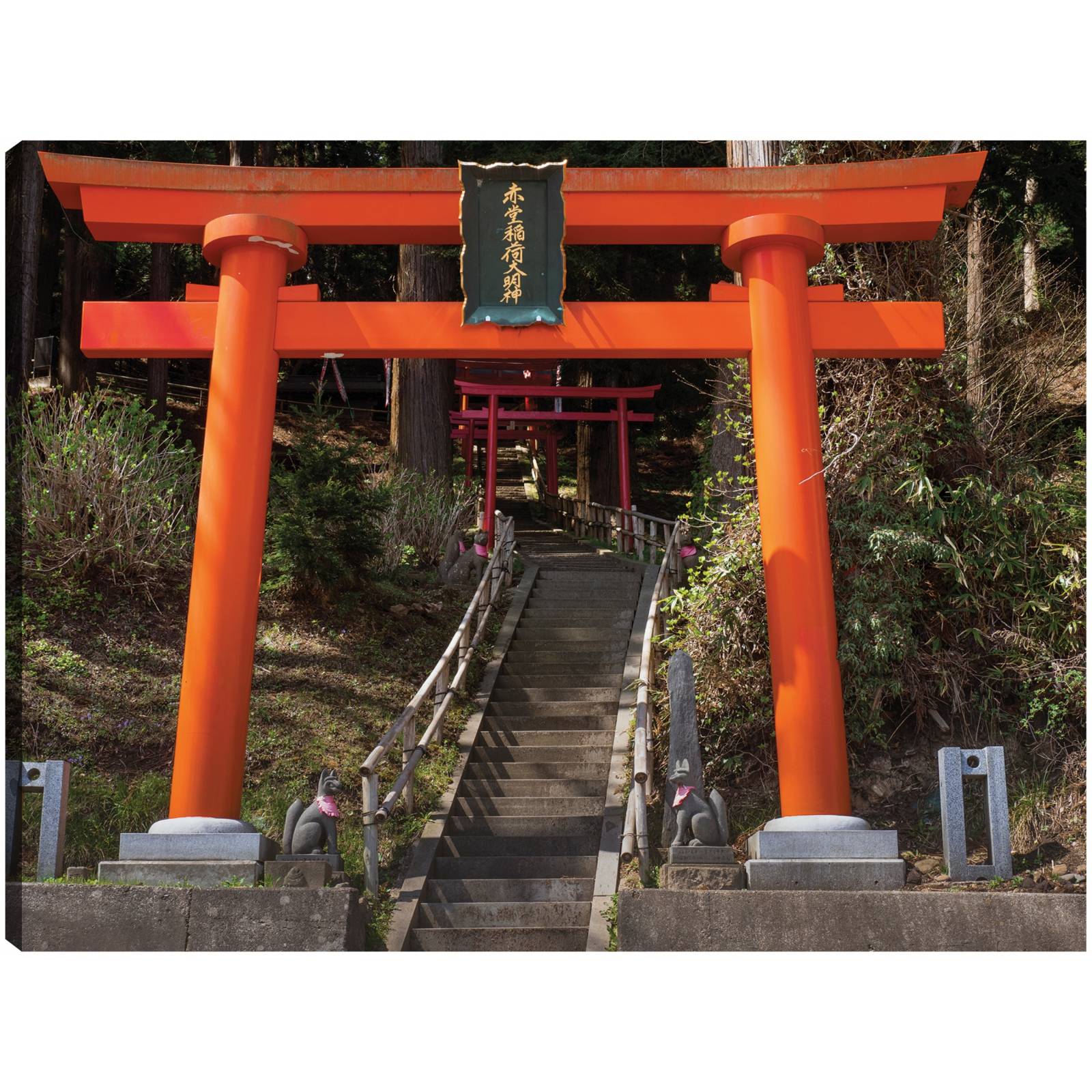 Cuadro Decorativo puertas japonesas