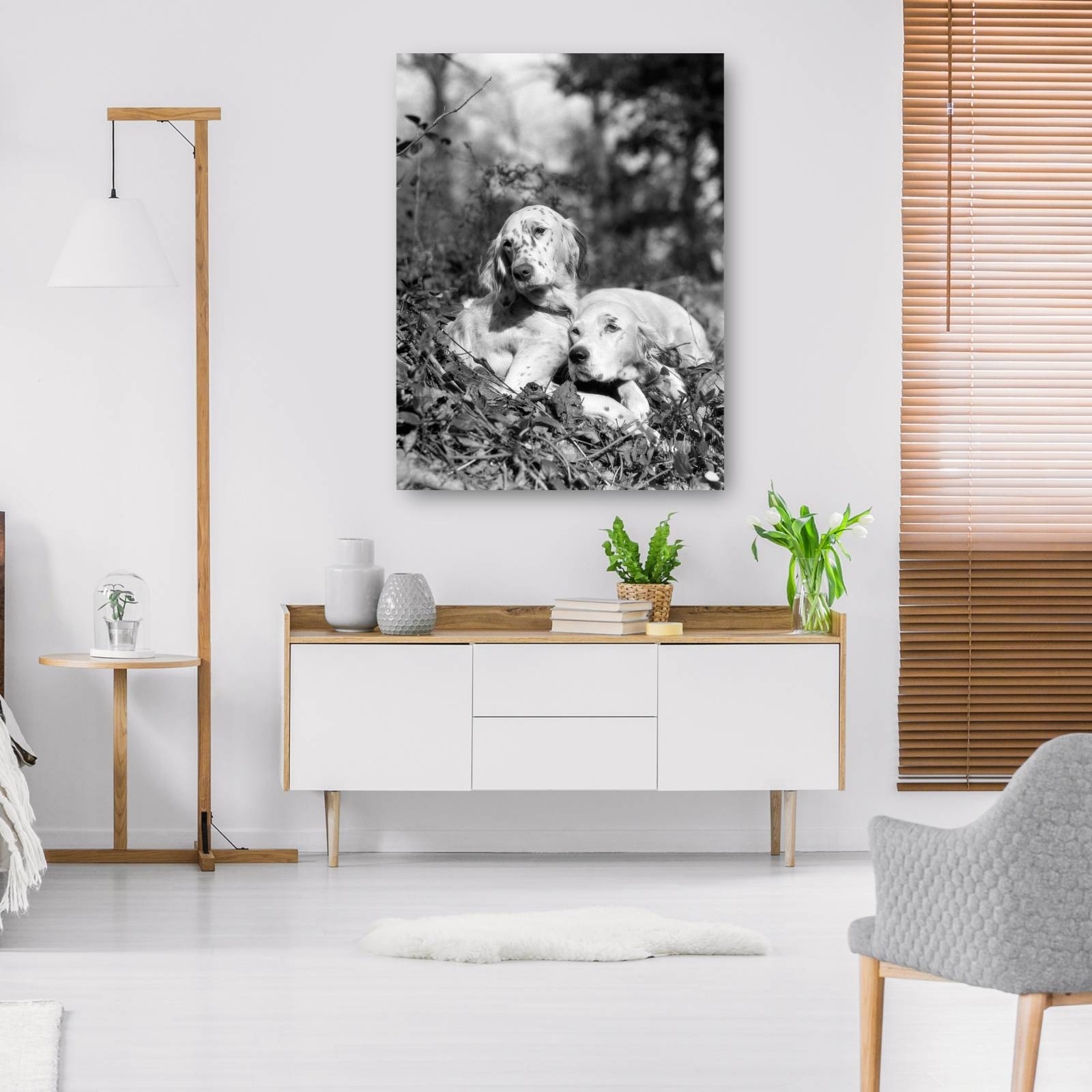 Cuadro Decorativo Setter de ingles de verano