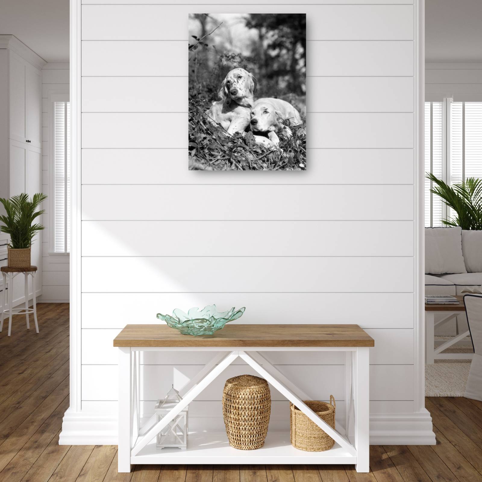 Cuadro Decorativo Setter de ingles de verano