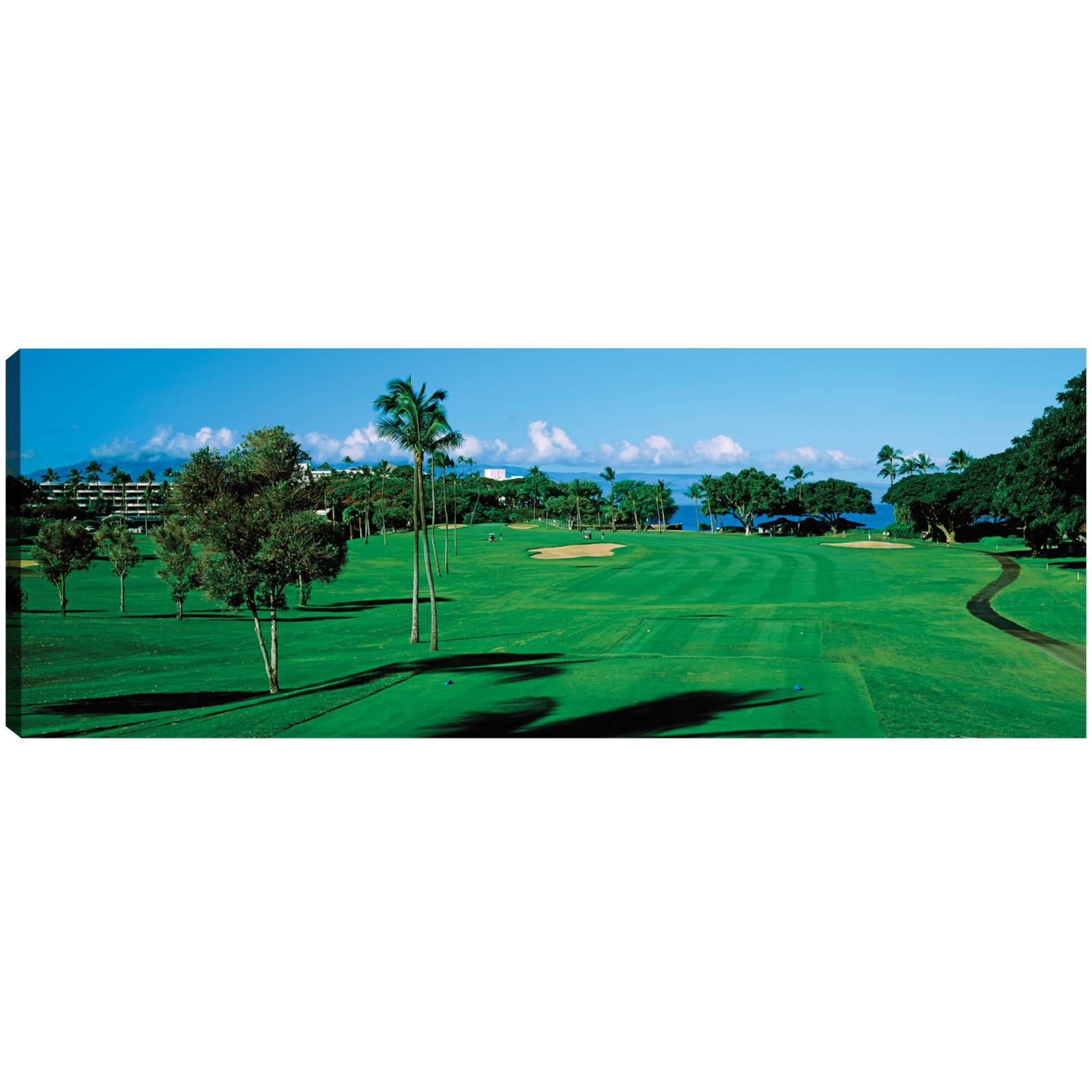 Cuadro Decorativo Campo de Golf Tropical Maui