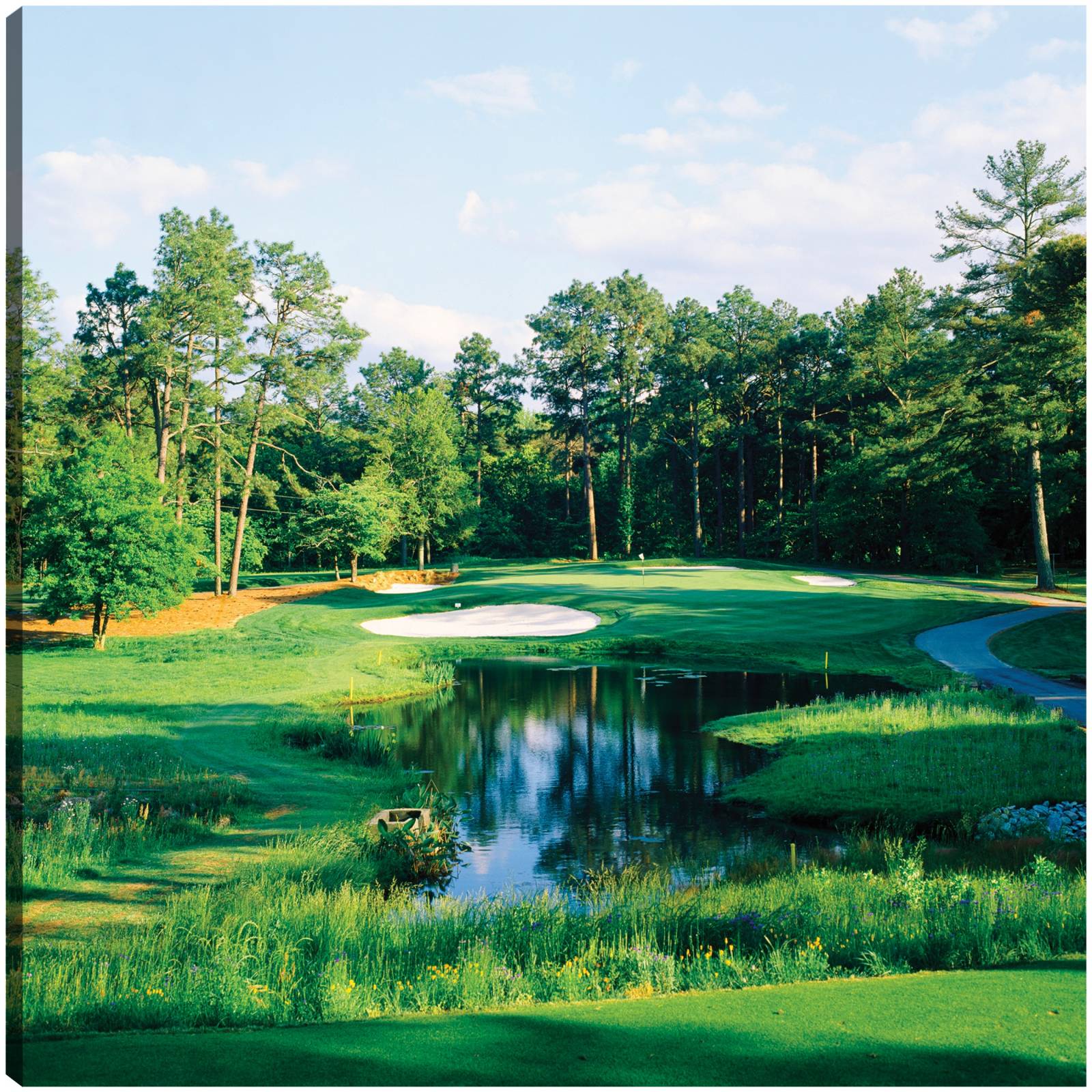 Cuadro Decorativo Campo de Golf Pine Needles