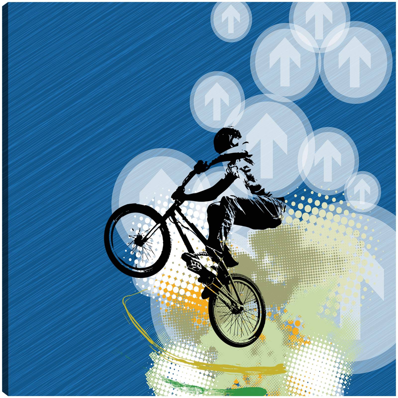 Cuadro Decorativo BMX Flechas deportivas