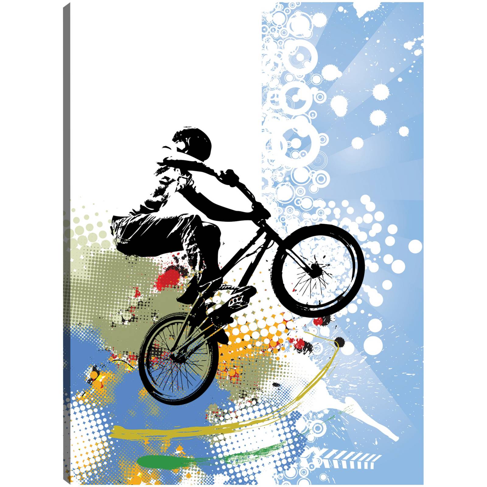 Cuadro Decorativo Trucos de BMX Sky