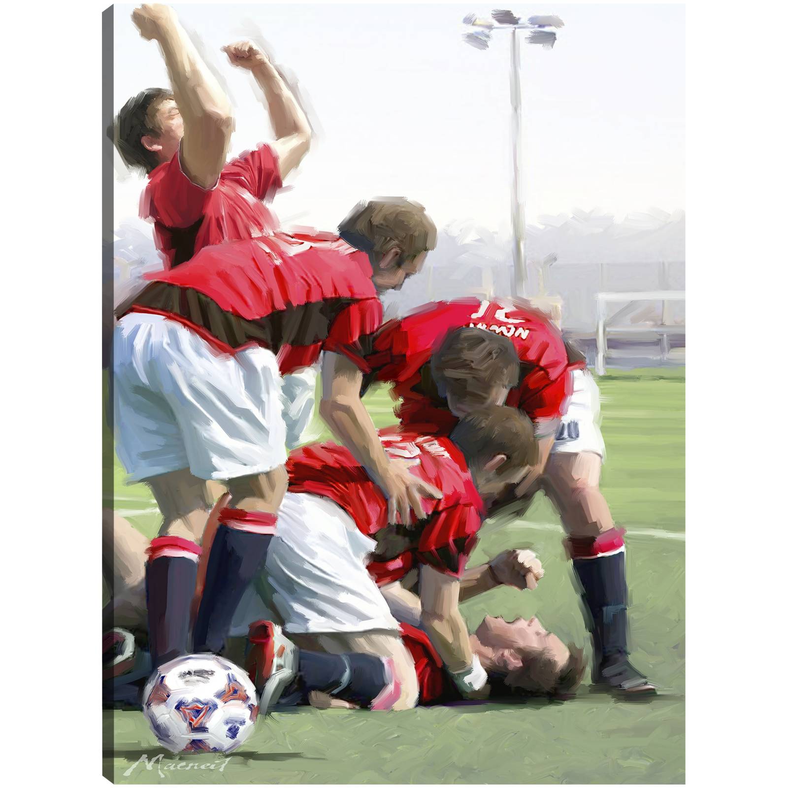 Cuadro Decorativo Celebracion del futbol