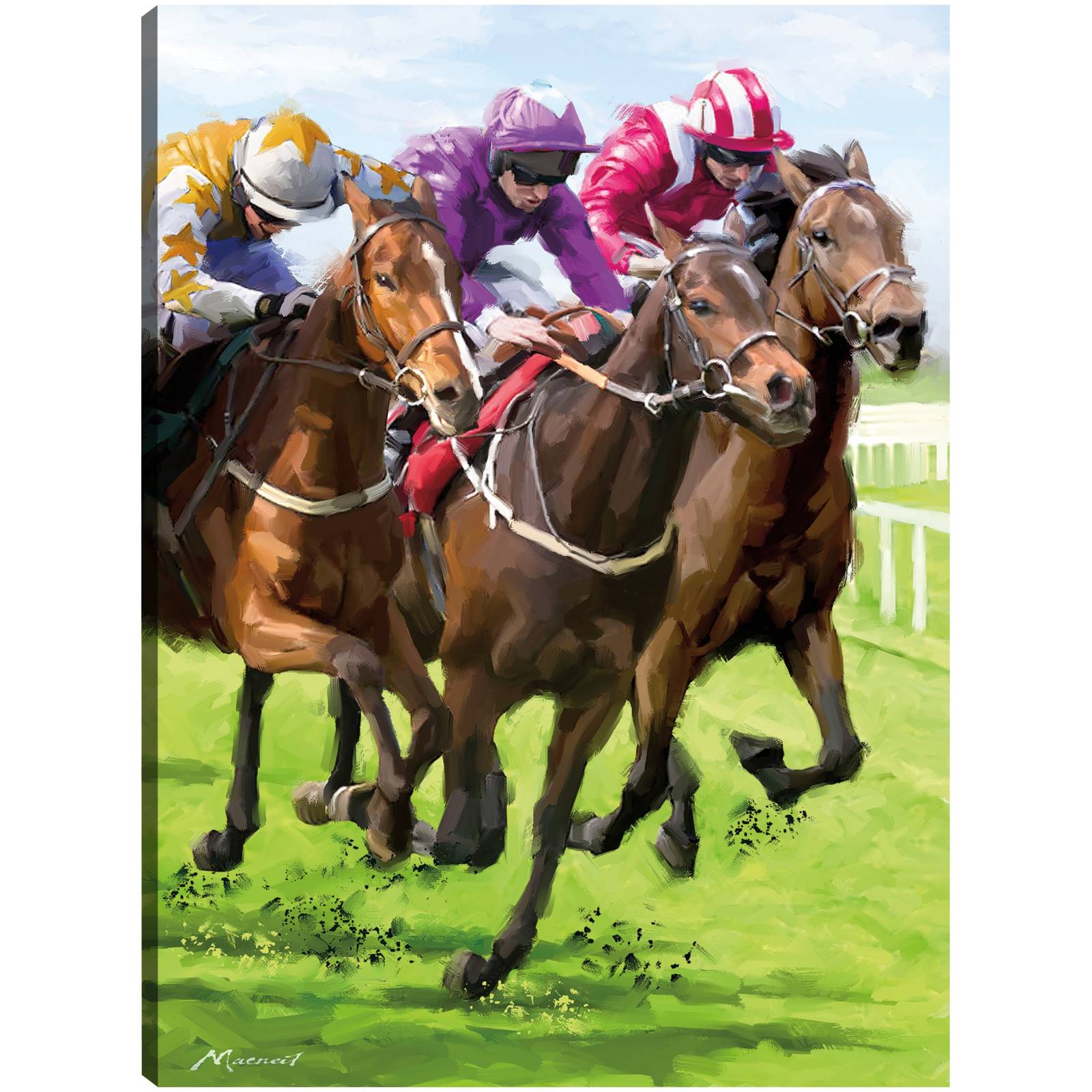 Cuadro Decorativo Hipismo