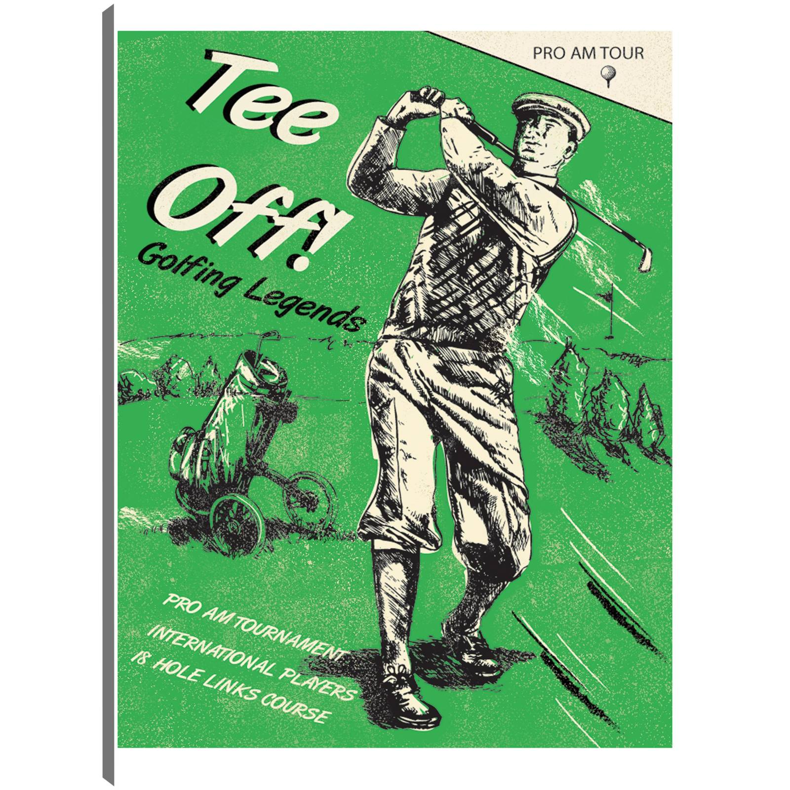 Cuadro Decorativo Golf