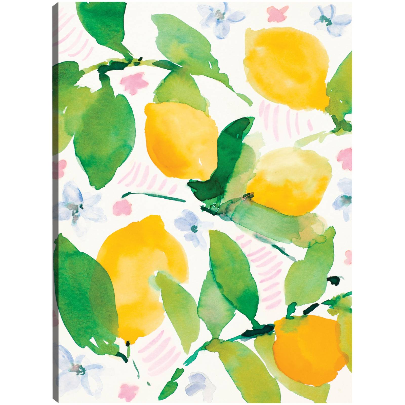 cuadro decorativo - Limones de jardín