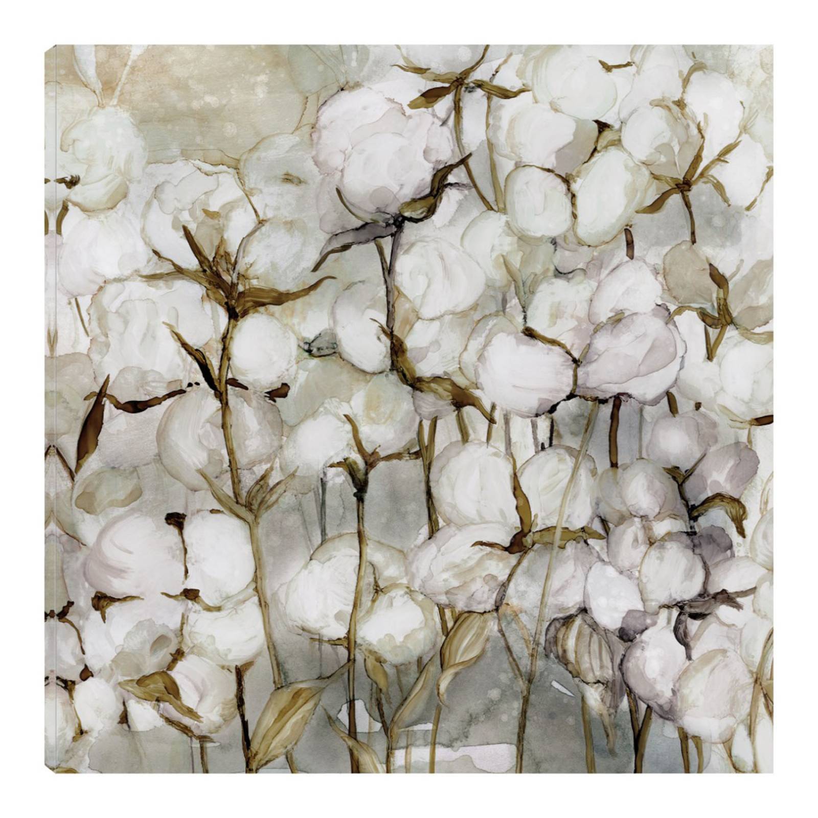 Cuadro Decorativo | Campo de algodón | Carol Robinson | 82X82 Cm | Arte Floral | Impresión en Lienzo | Fine Art TJ