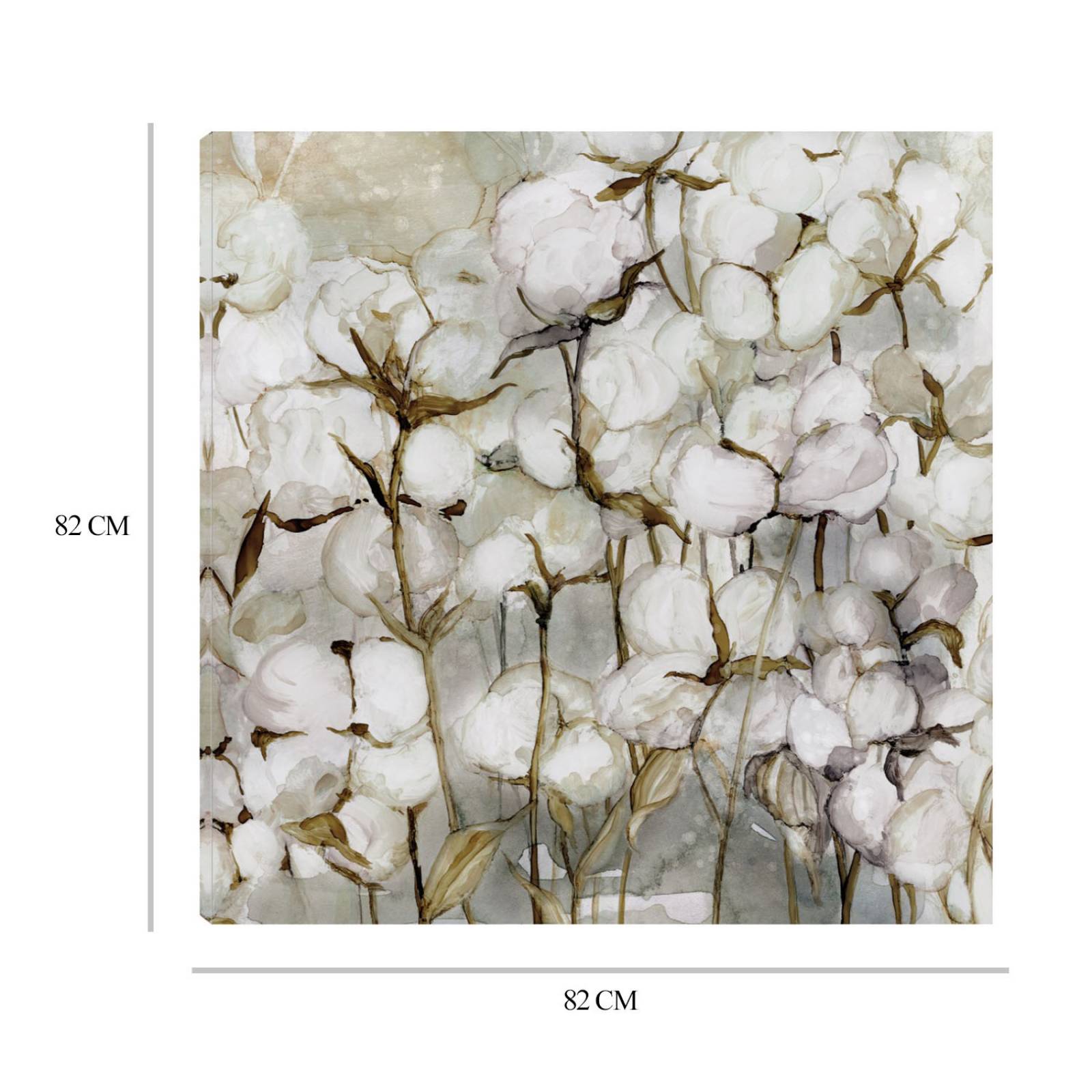 Cuadro Decorativo | Campo de algodón | Carol Robinson | 82X82 Cm | Arte Floral | Impresión en Lienzo | Fine Art TJ