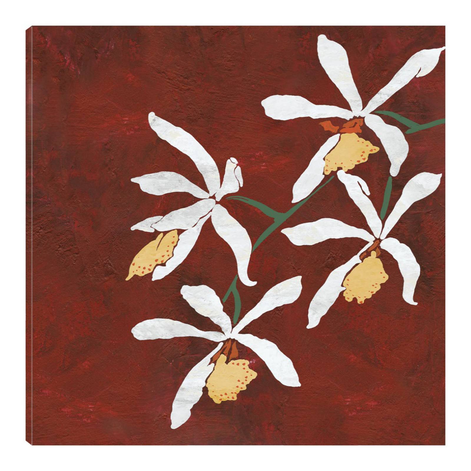 Cuadro Decorativo | Colección Floral Roja | Linda Wood | 94X94 Cm | Arte Floral | Impresión en Lienzo | Fine Art TJ