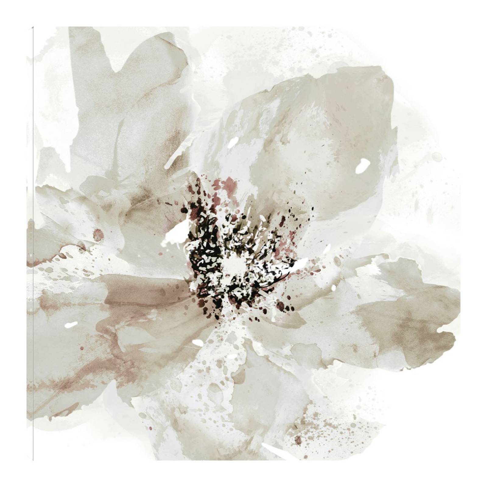 Cuadro Decorativo | Corola Neutral I | Tania Bello | 56X56 Cm | Arte Floral | Impresión en Lienzo | Fine Art TJ