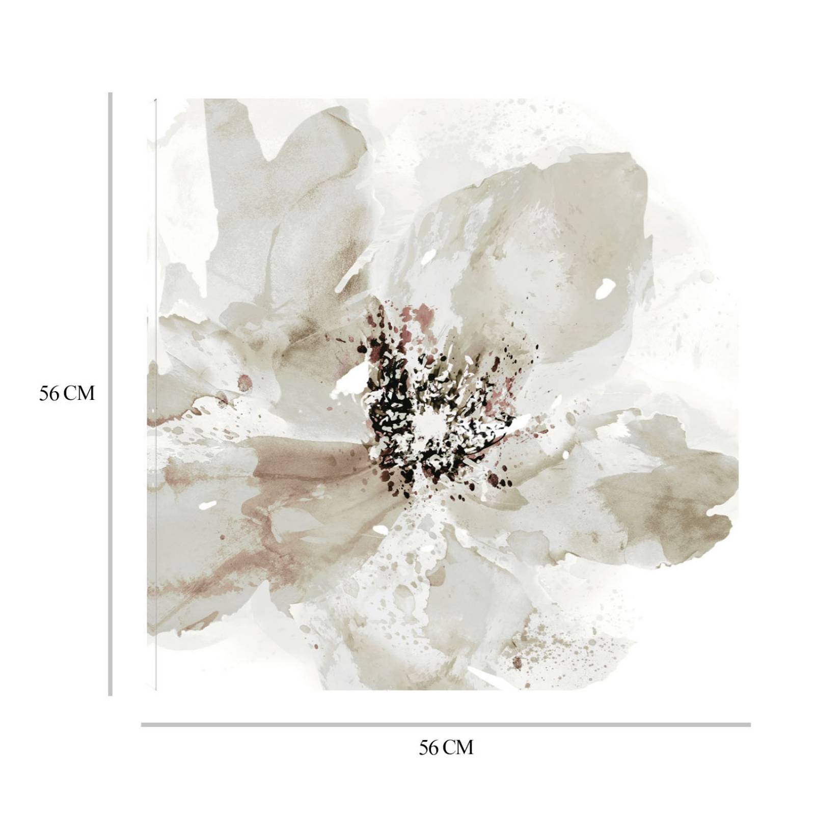 Cuadro Decorativo | Corola Neutral I | Tania Bello | 56X56 Cm | Arte Floral | Impresión en Lienzo | Fine Art TJ