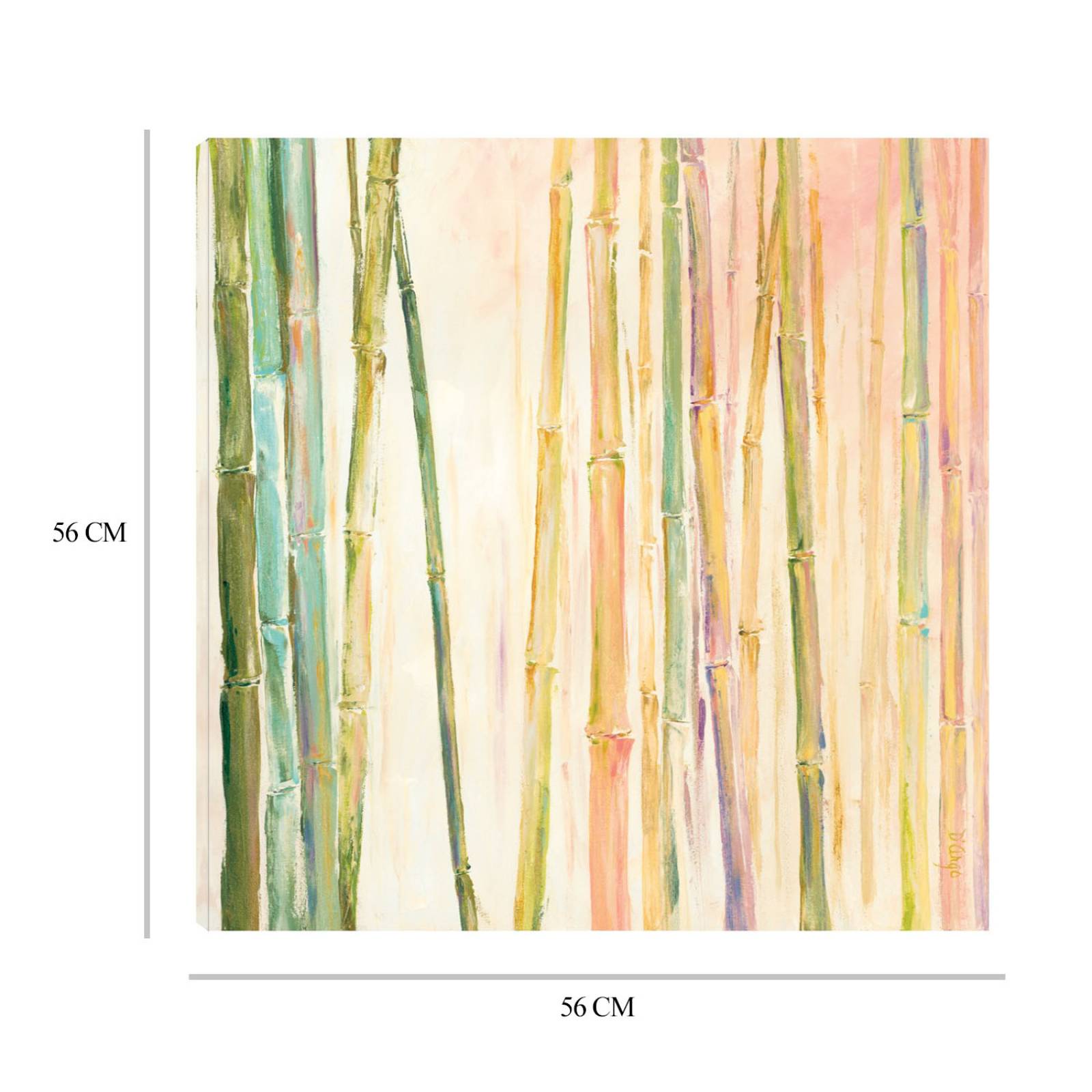 Cuadro Decorativo | Bambú II | Dina D'Argo | 56X56 Cm | Arte Floral | Impresión en Lienzo | Fine Art TJ