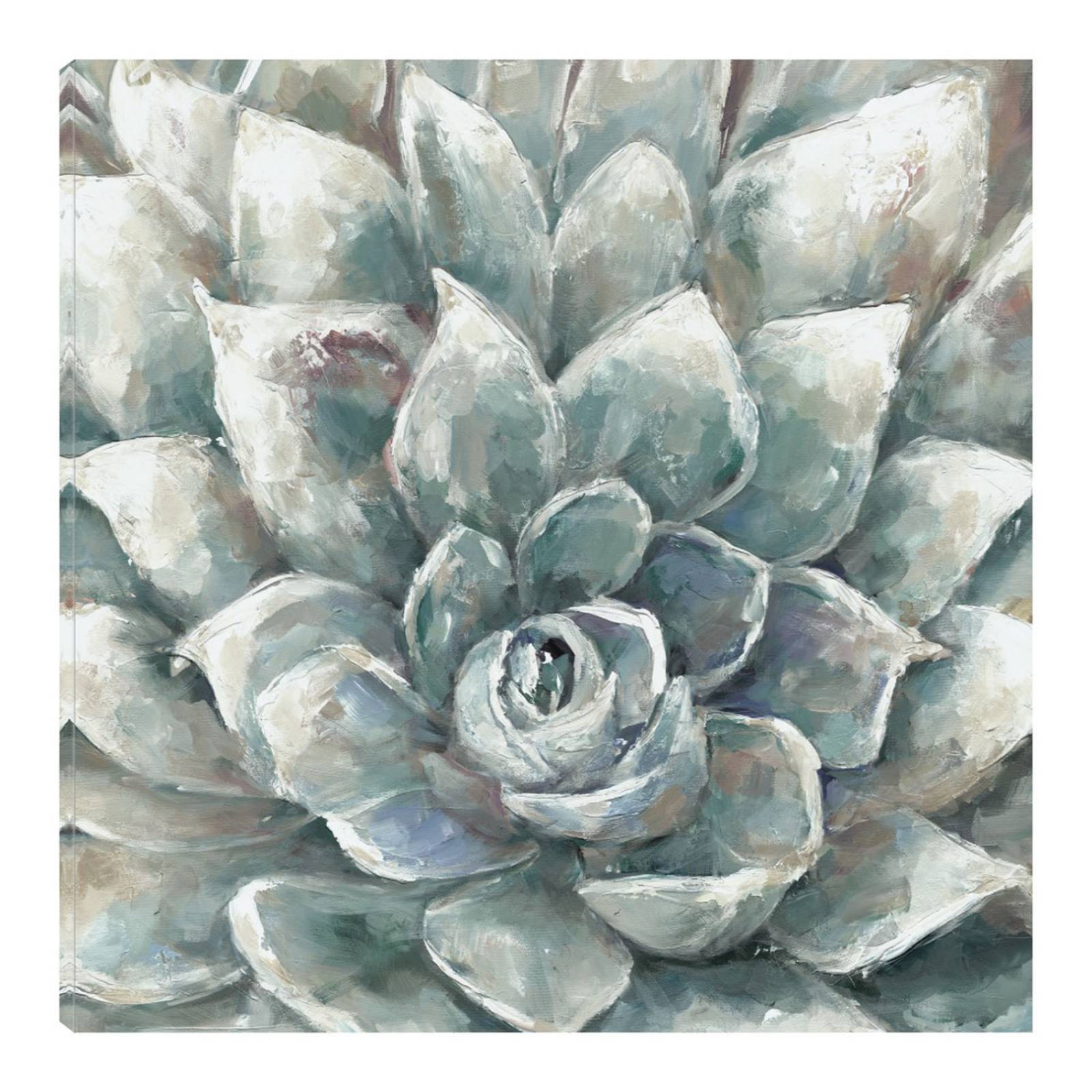Cuadro Decorativo | Cactus Floreciendo | Sandy Doonan | 94X94 Cm | Arte Floral | Impresión en Lienzo | Fine Art TJ