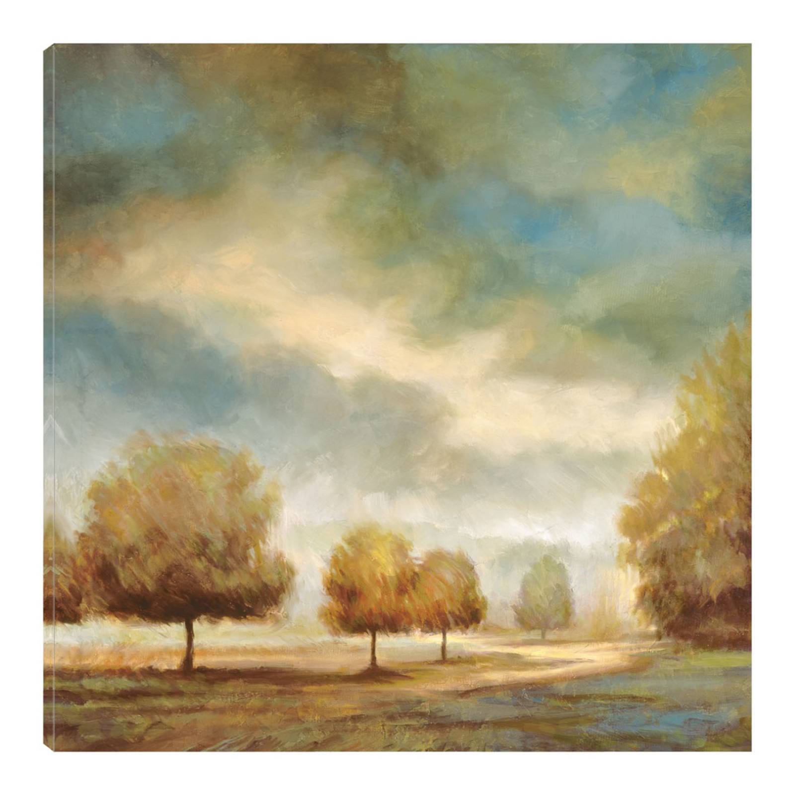 Cuadro Decorativo | Luz y sombra I | Jeffrey Leonard | 122X122 Cm | Arte Paisaje | Impresión en Lienzo | Fine Art TJ