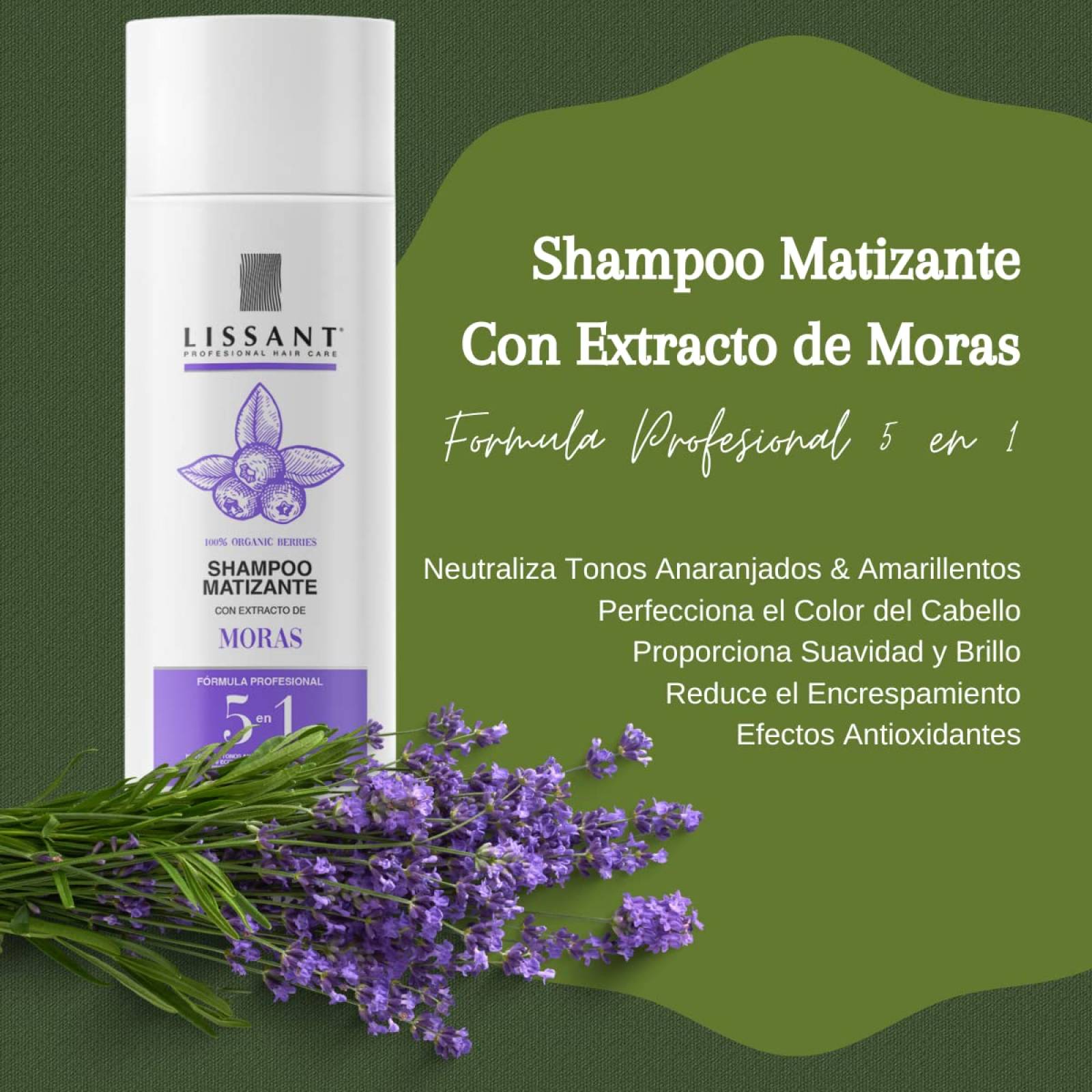 Shampoo Matizador Morado de Cabellos Rubios, Dorados, Luces, Rayos, Platinado, Canas, Teñidos - 250ml de Lissant