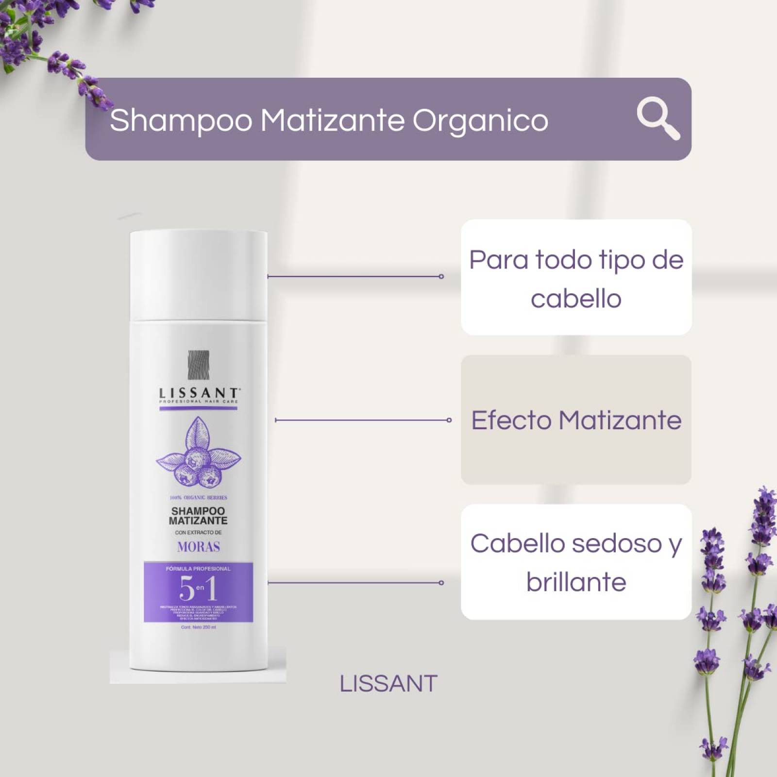 Shampoo Matizador Morado de Cabellos Rubios, Dorados, Luces, Rayos, Platinado, Canas, Teñidos - 250ml de Lissant